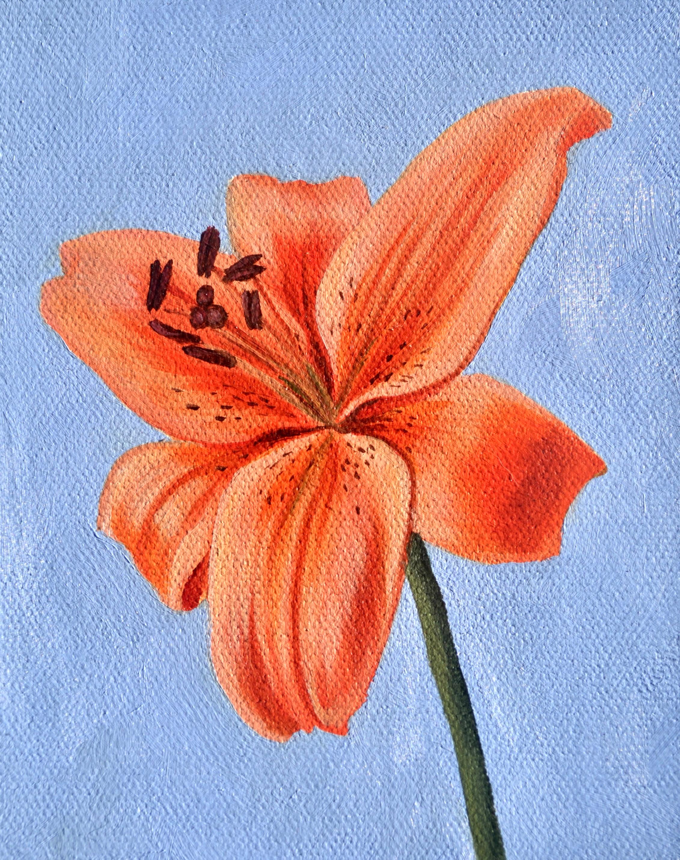 L'opera "Orange Lily" di Robin Hextrum (USA) è un coloratissimo dipinto a olio che raffigura un giglio arancione in piena fioritura su uno sfondo blu. Questa opera d'arte deve essere incorniciata per essere esposta. Su richiesta, forniamo preventivi