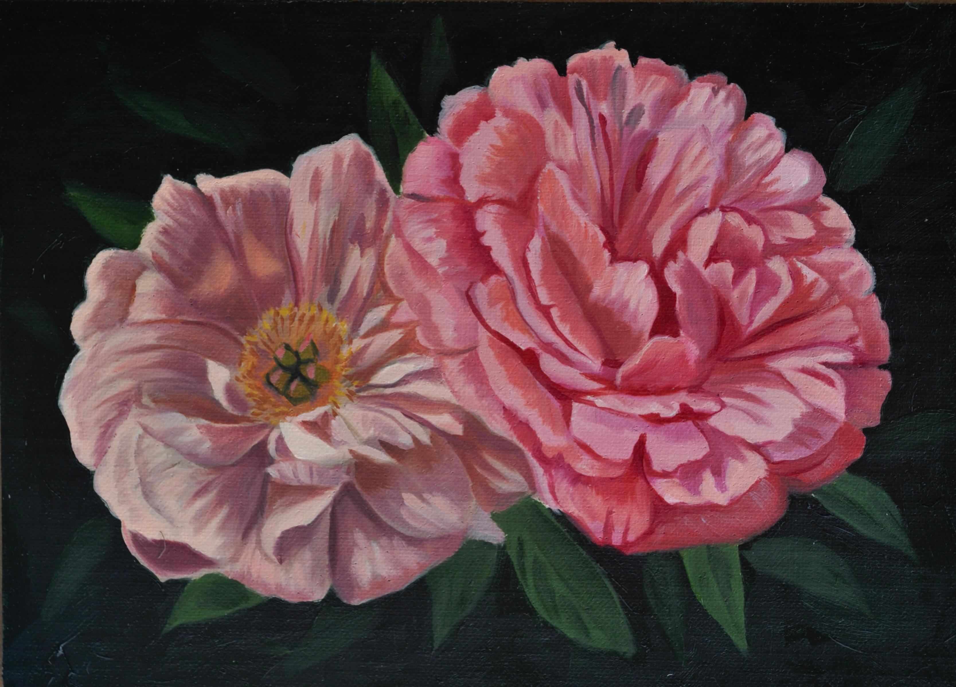 "Coppia di peonie" dipinto a olio di Robin Hextrum