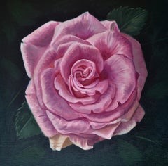 "Pink Rose" Oil Painting by Robin Hextrum