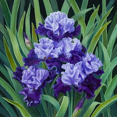 "Pirámide de lirios" (2024) de Robin Hextrum, Pintura al óleo original sobre panel