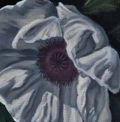 "White Poppy" Oil Painting by Robin Hextrum
