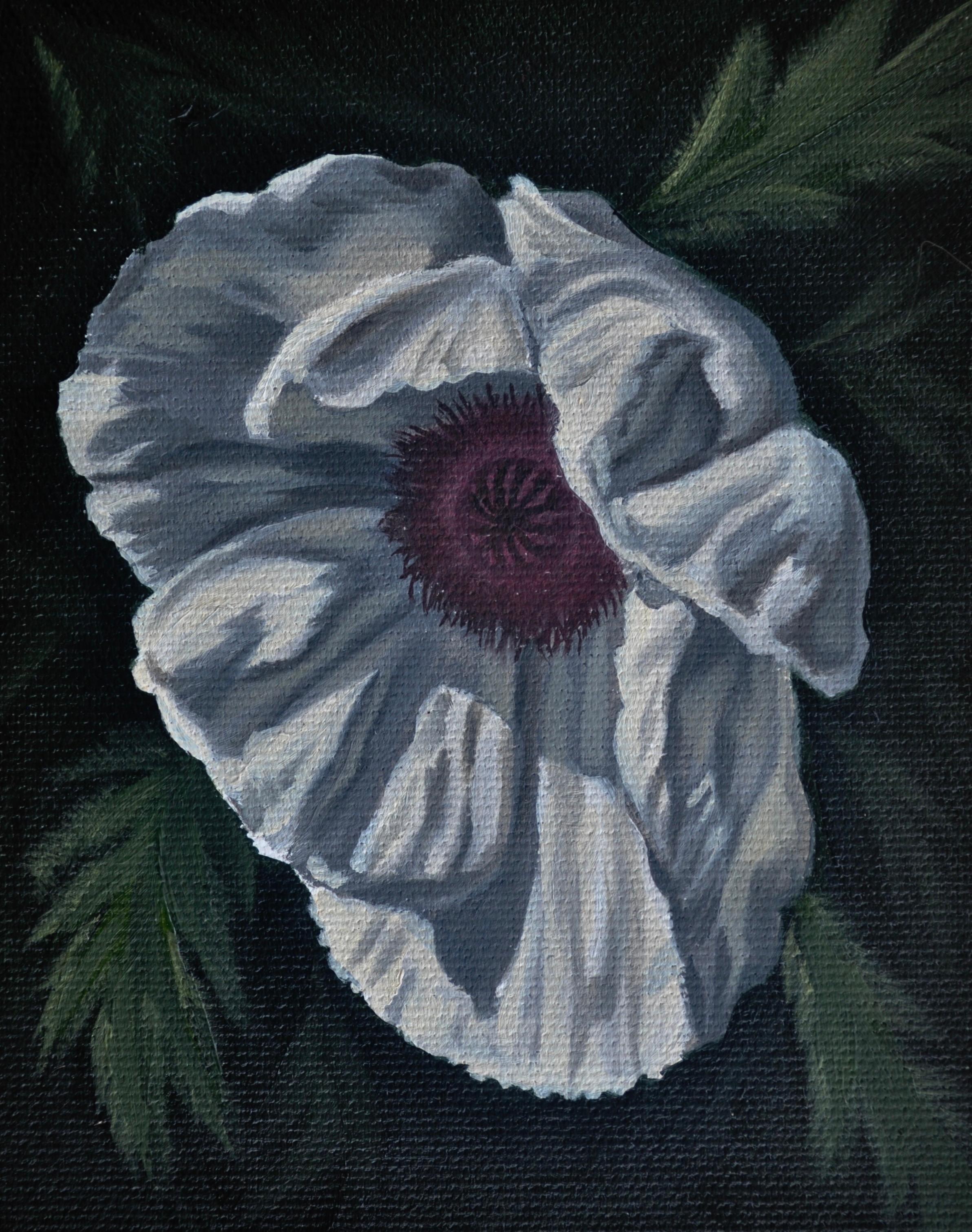 Amapola blanca", de Robin Hextrum (EE.UU.), es un óleo que representa una amapola blanca en plena floración. Este cuadro se vende sin enmarcar, pero está listo para colgar.

Biografía del artista:
Robin Hextrum es una pintora contemporánea al óleo