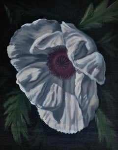 "White Poppy" Oil Painting by Robin Hextrum