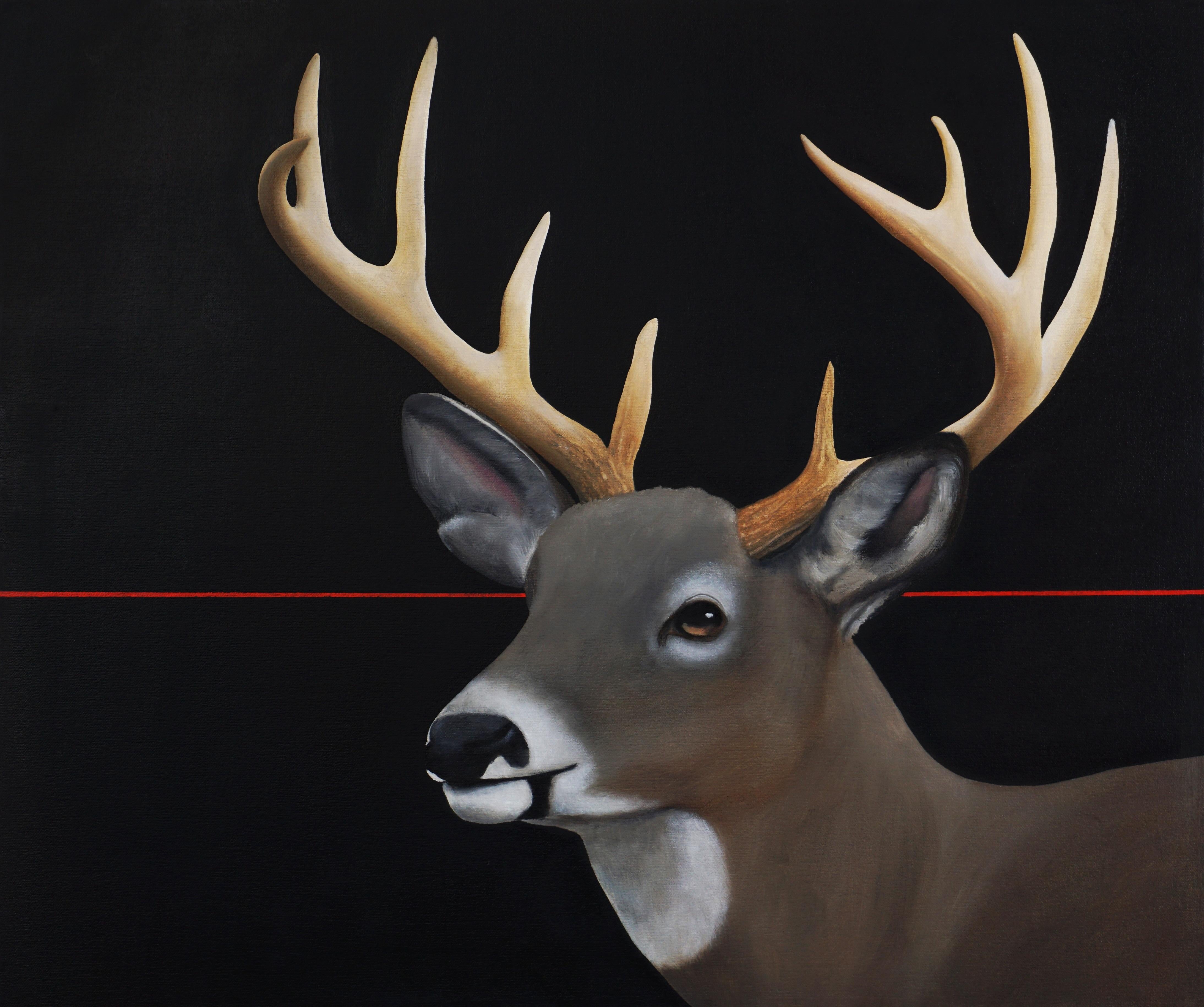 Buck - Painting by Robin McCauley