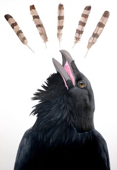 Five of Feathers