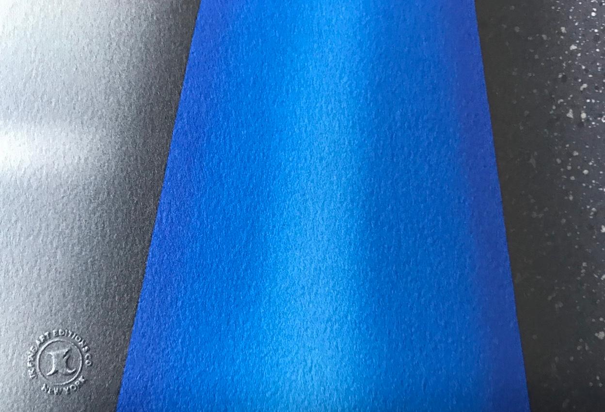 robin blue suit