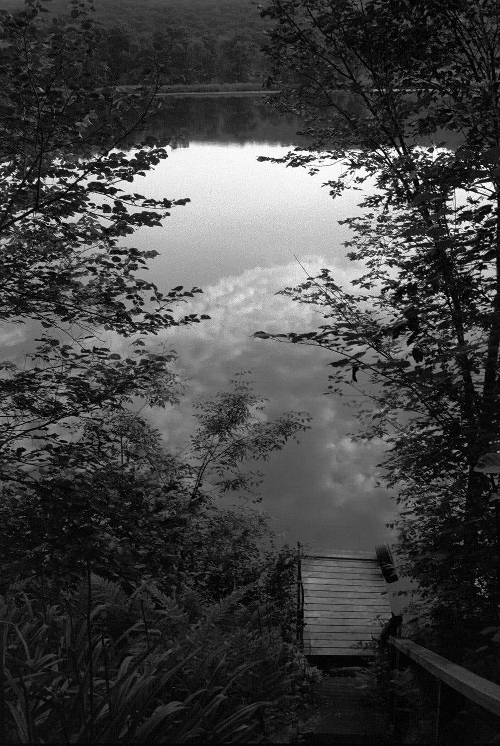Robin Rice - St. Croix River, Minnesota, 2002 For Sale at 1stDibs