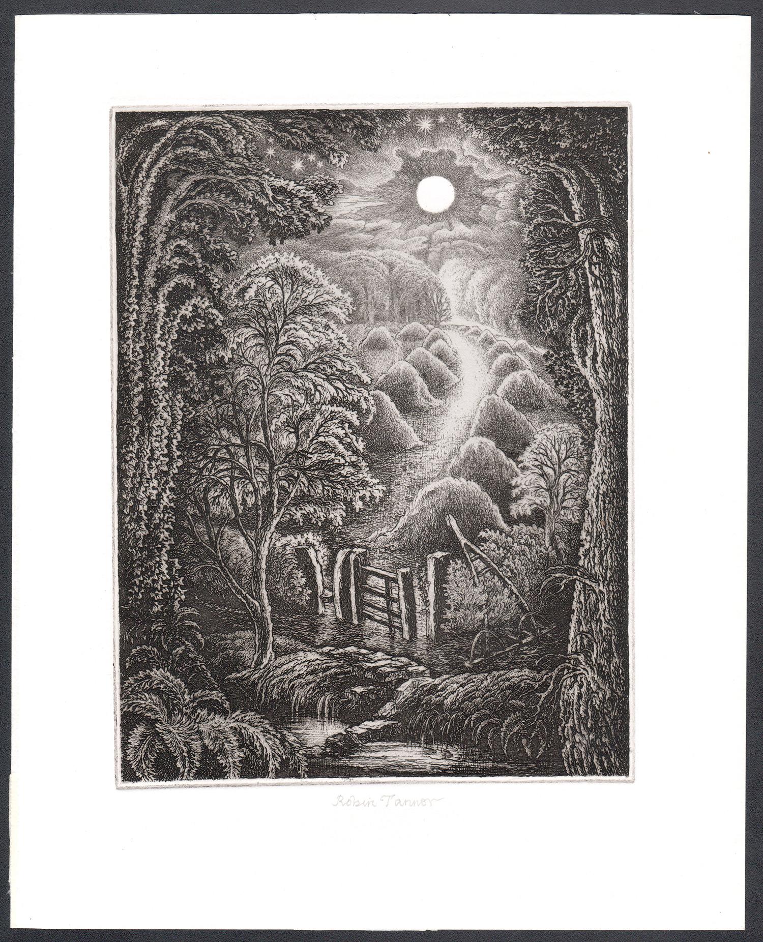 Luna llena, grabado artístico firmado por Robin Tanner en venta 1