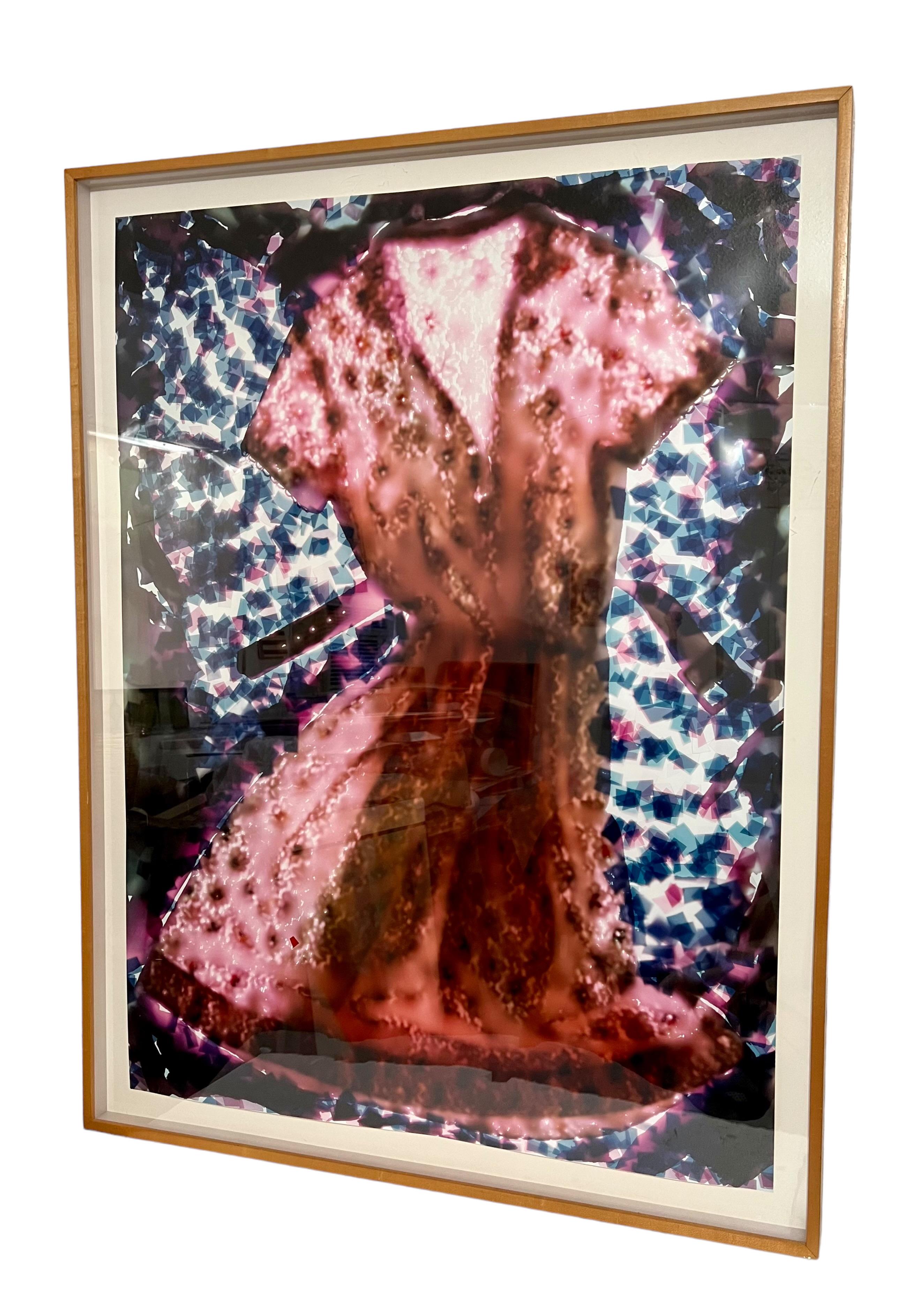Großes Cibachrome Farbfotografie-Kleid einer Künstlerin aus LA, feministisch, Foto C-Druck (Braun), Color Photograph, von Robin Valle