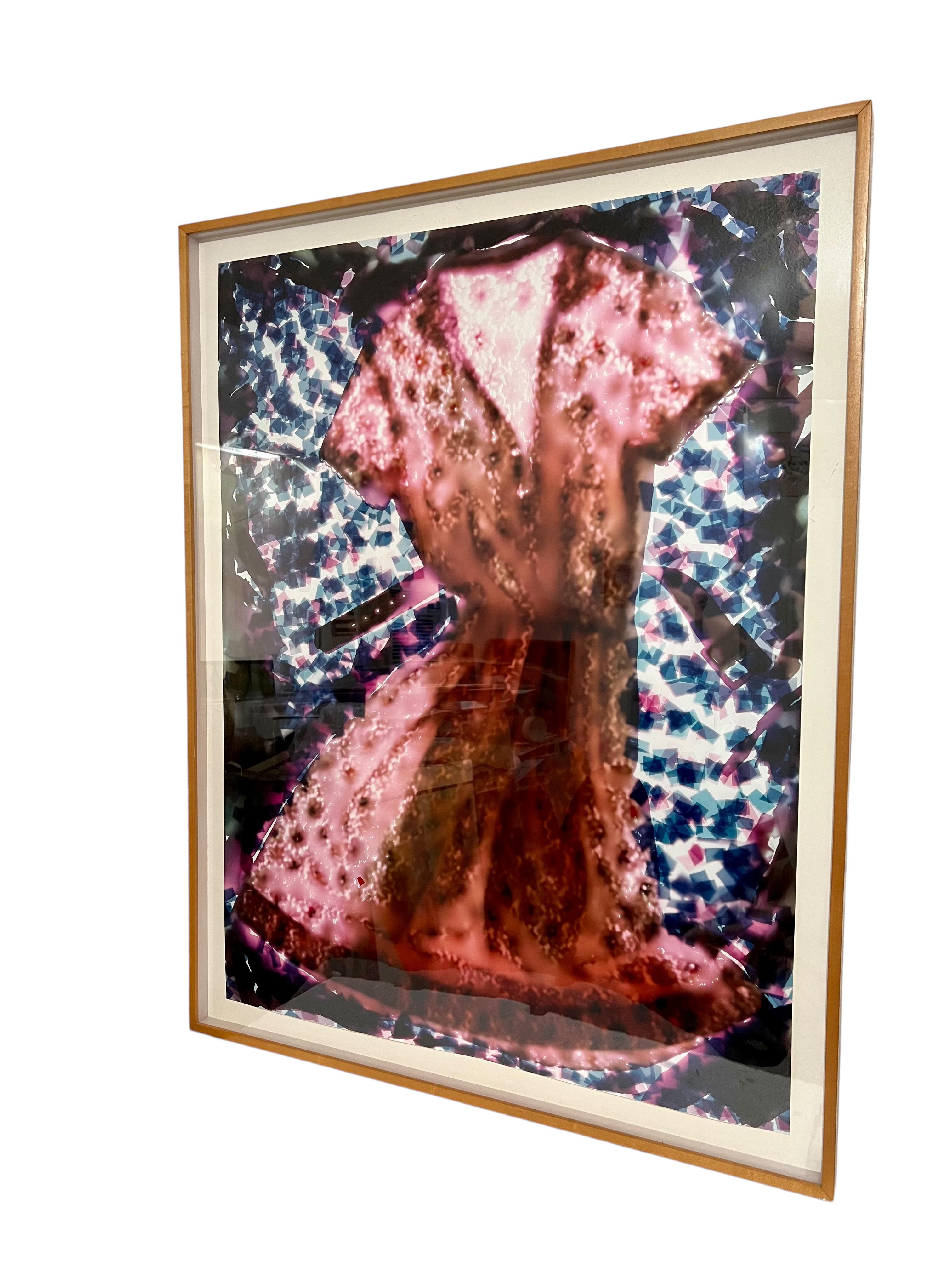 Großes Cibachrome Farbfotografie-Kleid einer Künstlerin aus LA, feministisch, Foto C-Druck im Angebot 2