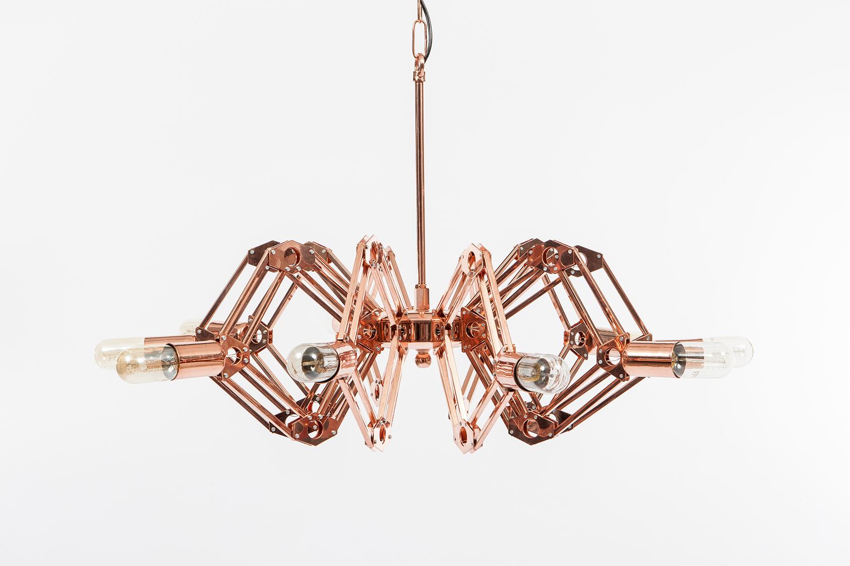 ceiling light with adjustable arms