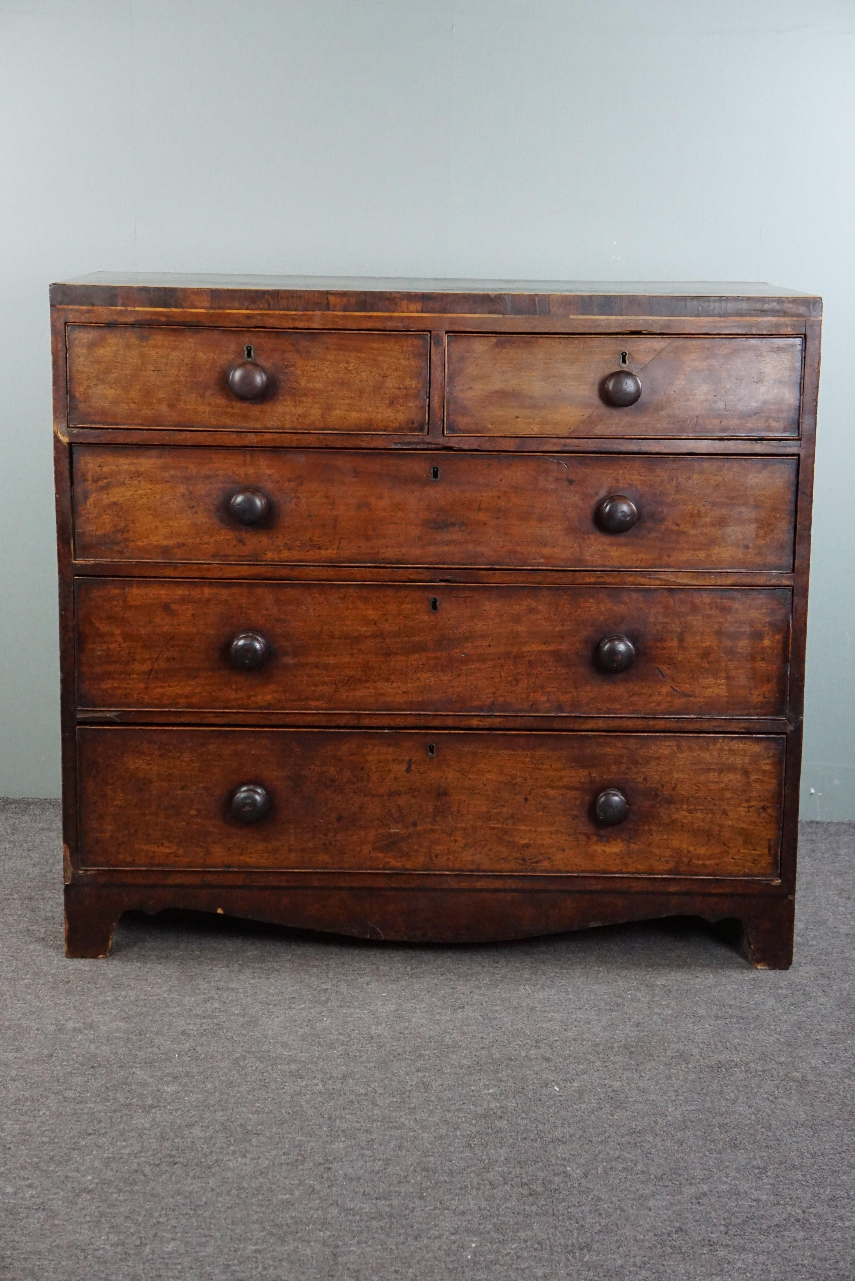 Robust antique English mahogany chest of 5 drawers from the mid-19th century In Fair Condition For Sale In Harderwijk, NL