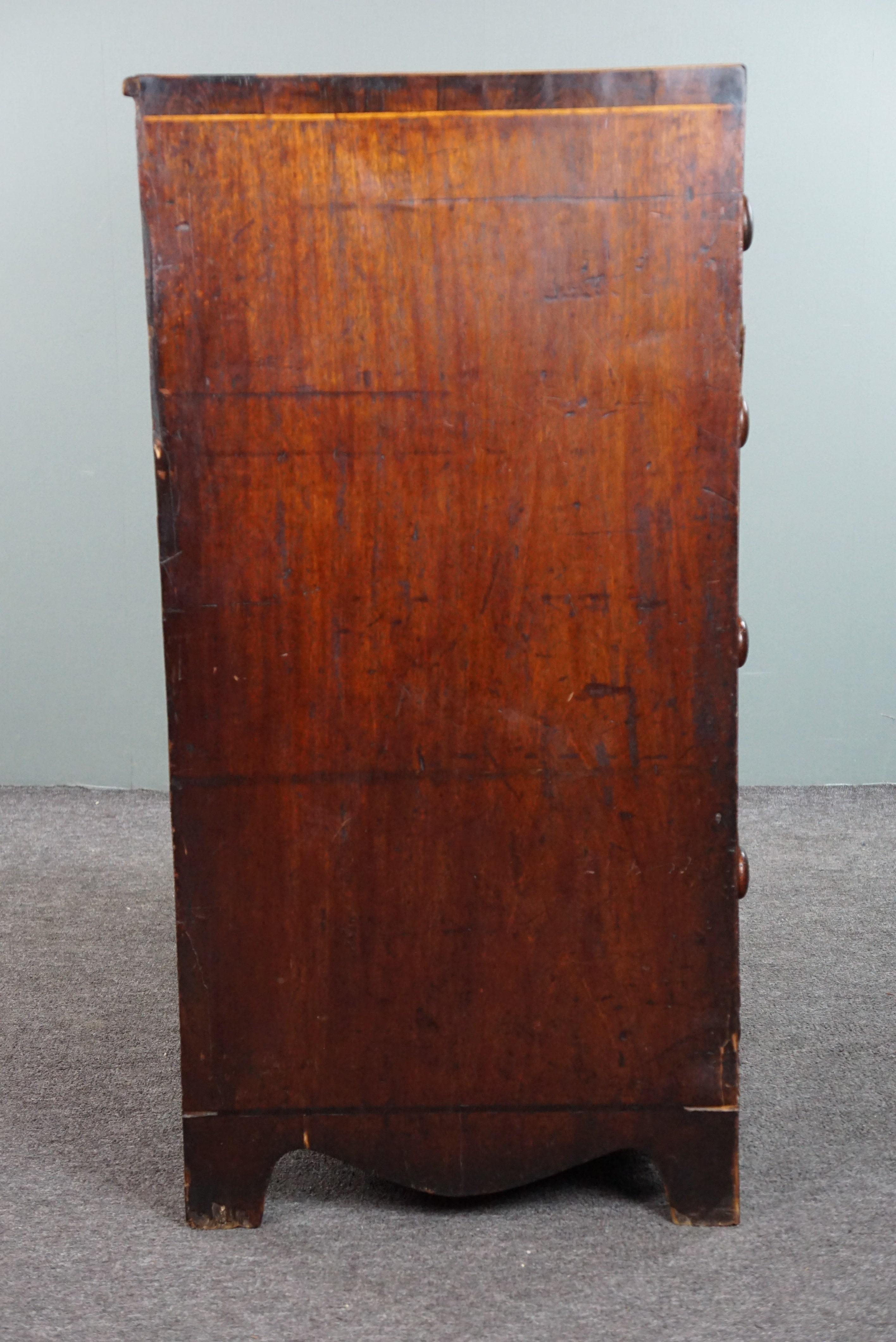 XIXe siècle Commode anglaise antique de 5 tiroirs du milieu du 19e siècle en vente