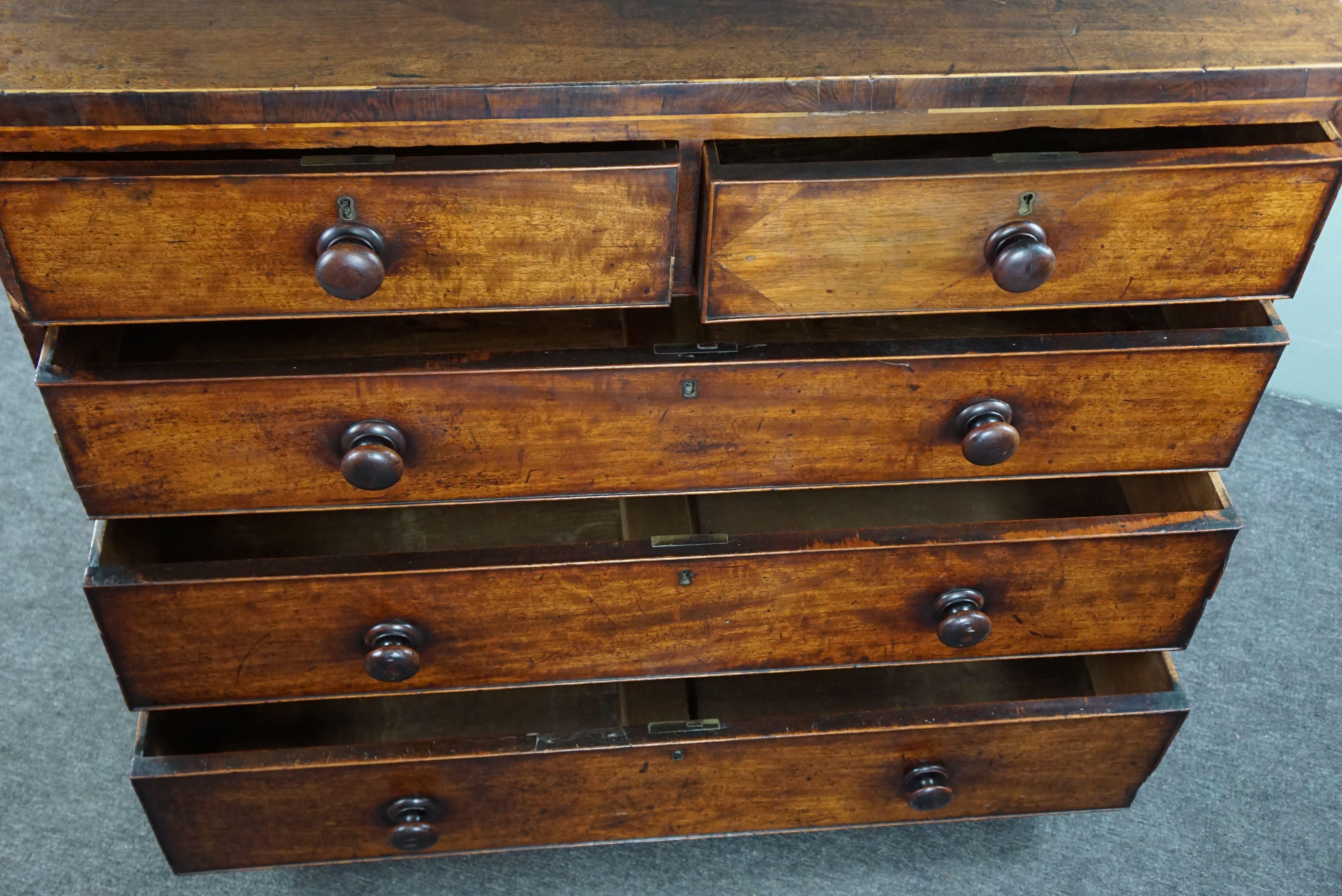 Robust antique English mahogany chest of 5 drawers from the mid-19th century For Sale 2