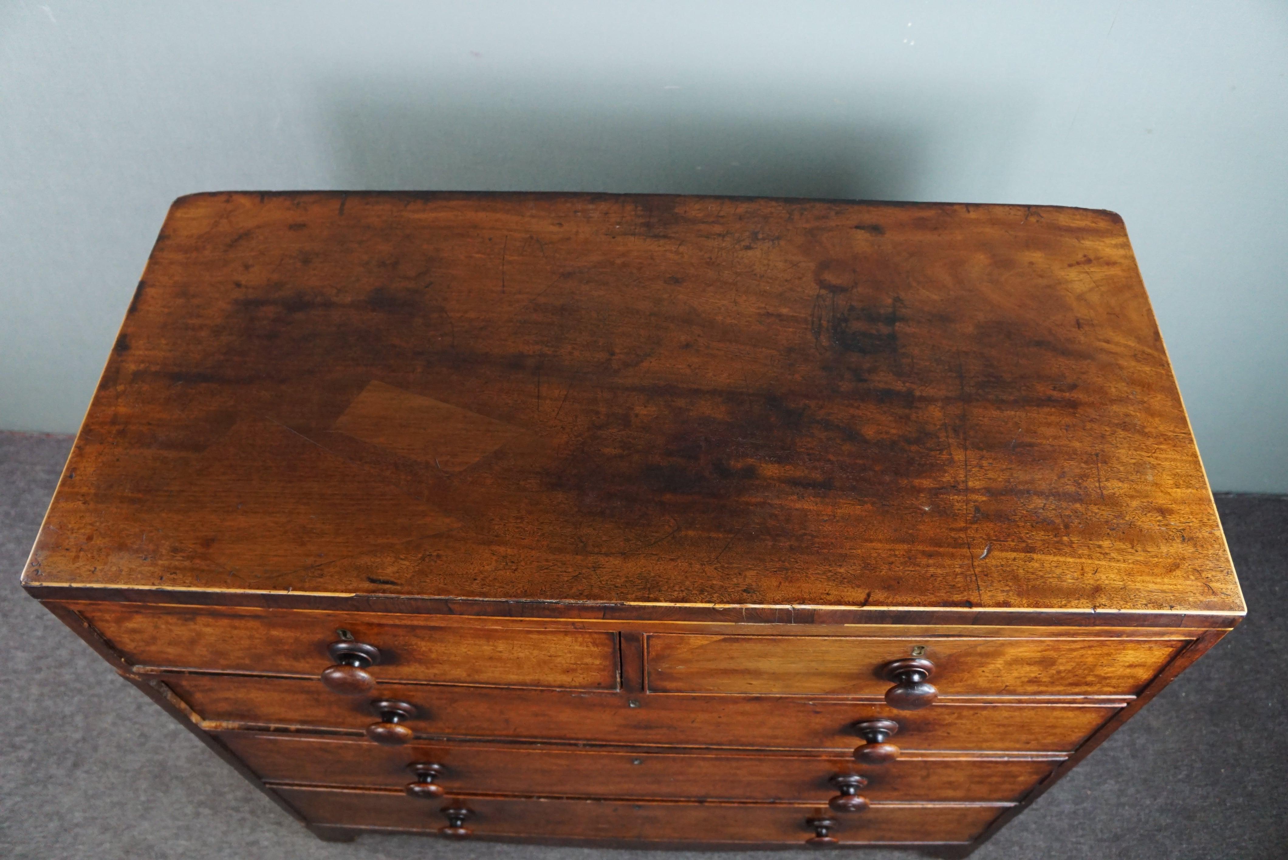 Robust antique English mahogany chest of 5 drawers from the mid-19th century For Sale 3