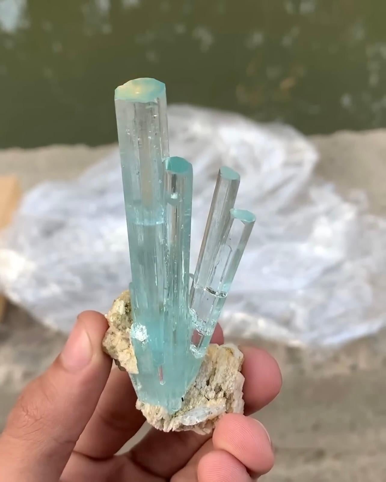 Informations sur le produit :

Nom du spécimen : Aigue-marine avec Albite
Poids : 73 grammes
Dimensions : H : 10 x L : 4 x P : 2 cm : H : 10 x L : 4 x P : 2 cm
Traitement : Aucun
Origine : Mine Goand, vallée de Shigar, district de Skardu,