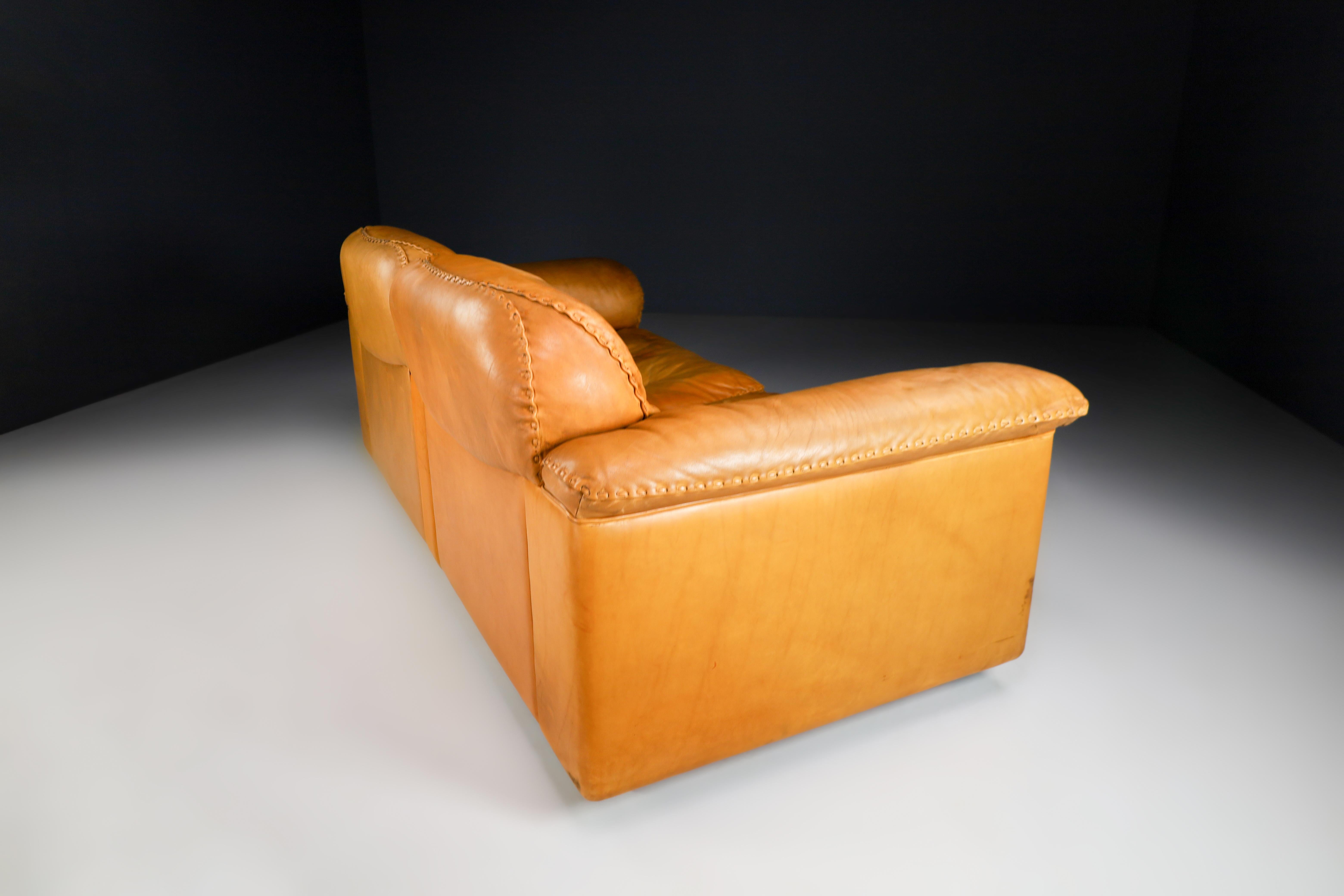 20th Century Robust Patinated Leather De Sede Ds-101 Two-Seater Sofa, Zwitserland 1960s