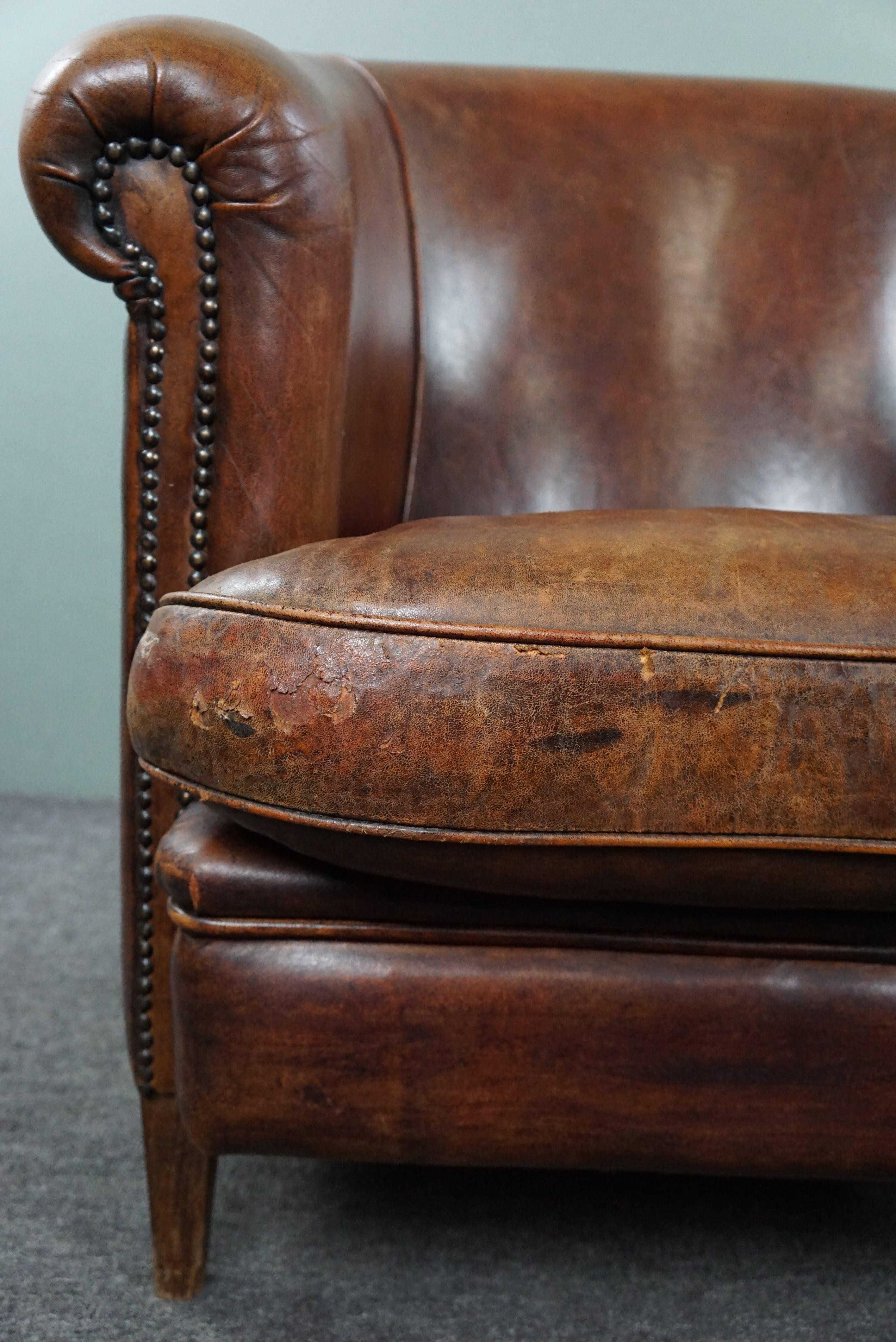 Robust sheep leather club armchair finished with decorative studs For Sale 1