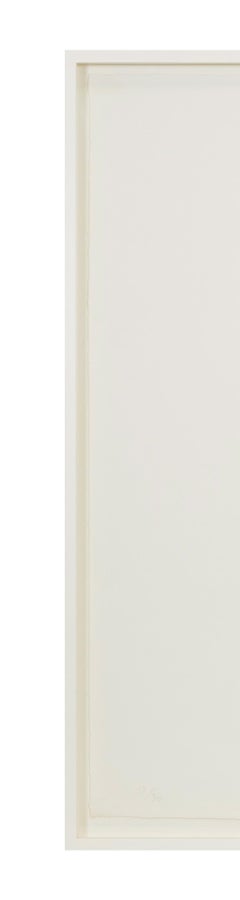 Robyn Denny, Porträtserie A