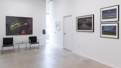 The First Cut de Robyn Stacey, 2009, impression C-Print