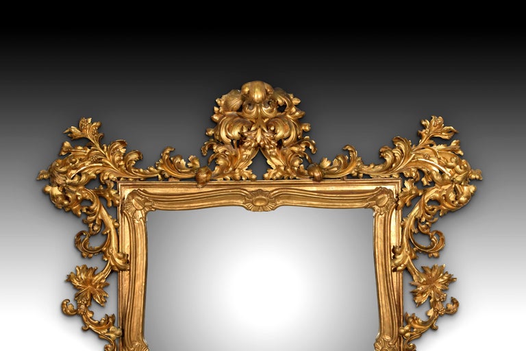 Roccoco Style Mirror, Wood, 19th Century For Sale at 1stDibs