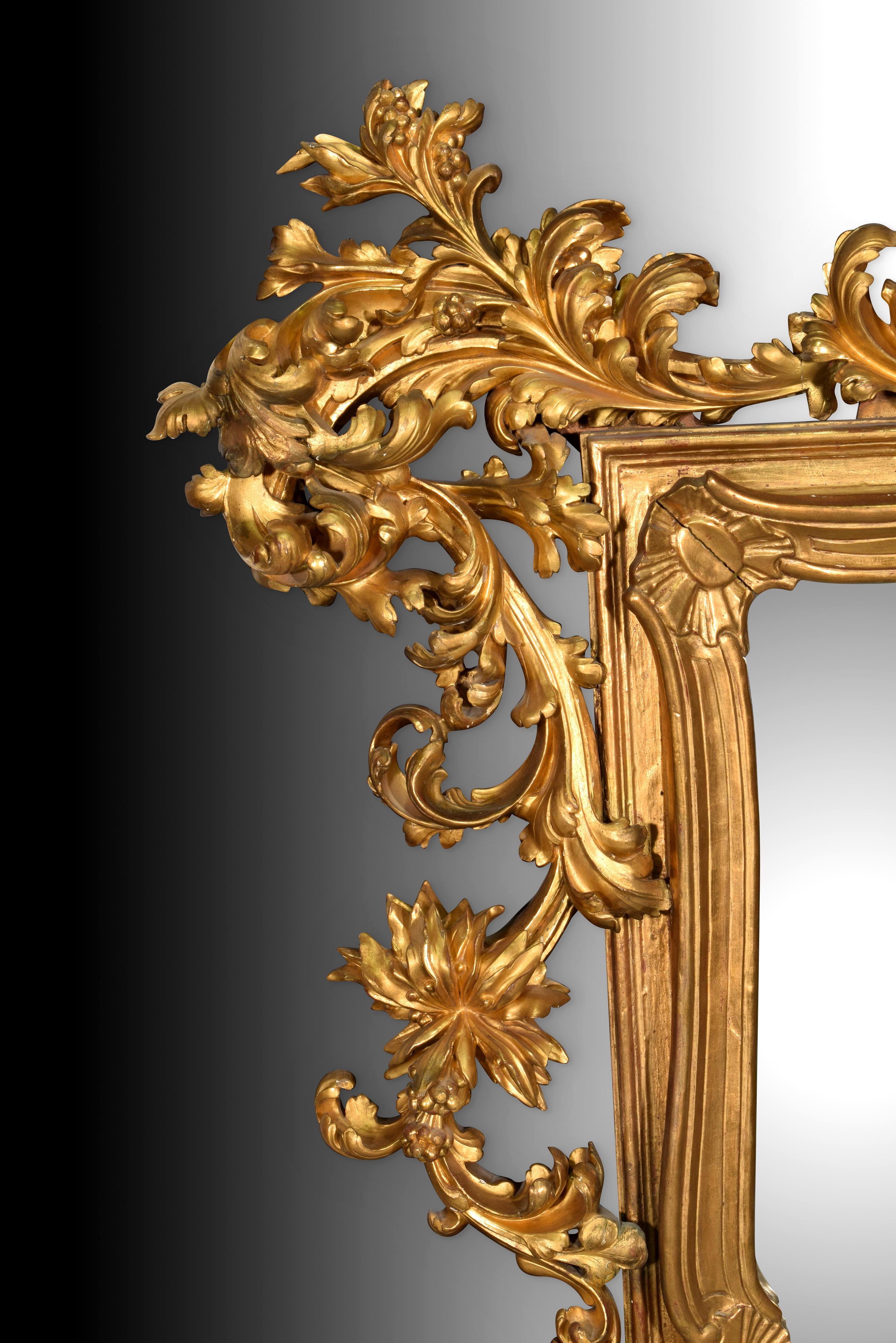 Neoclassical Revival Roccoco Style Mirror, Wood, 19th Century For Sale