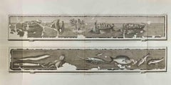 Antiquities of Herculaneum - Etching by Roccus Pozzi - 18th Century