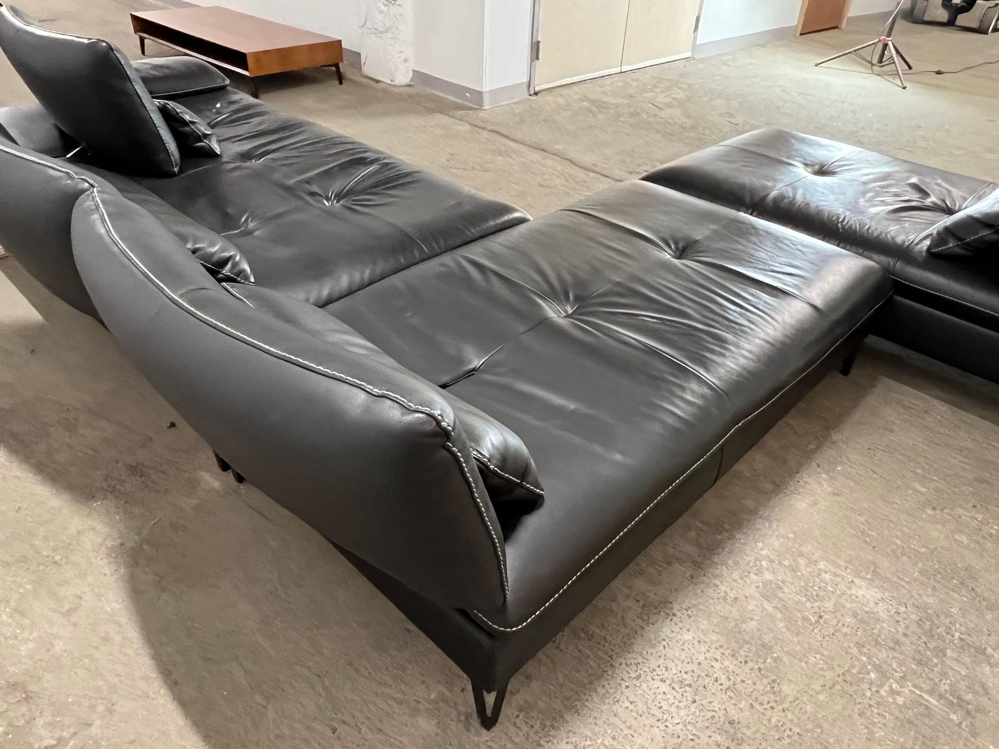 Roche Bobois Leather Sectional 