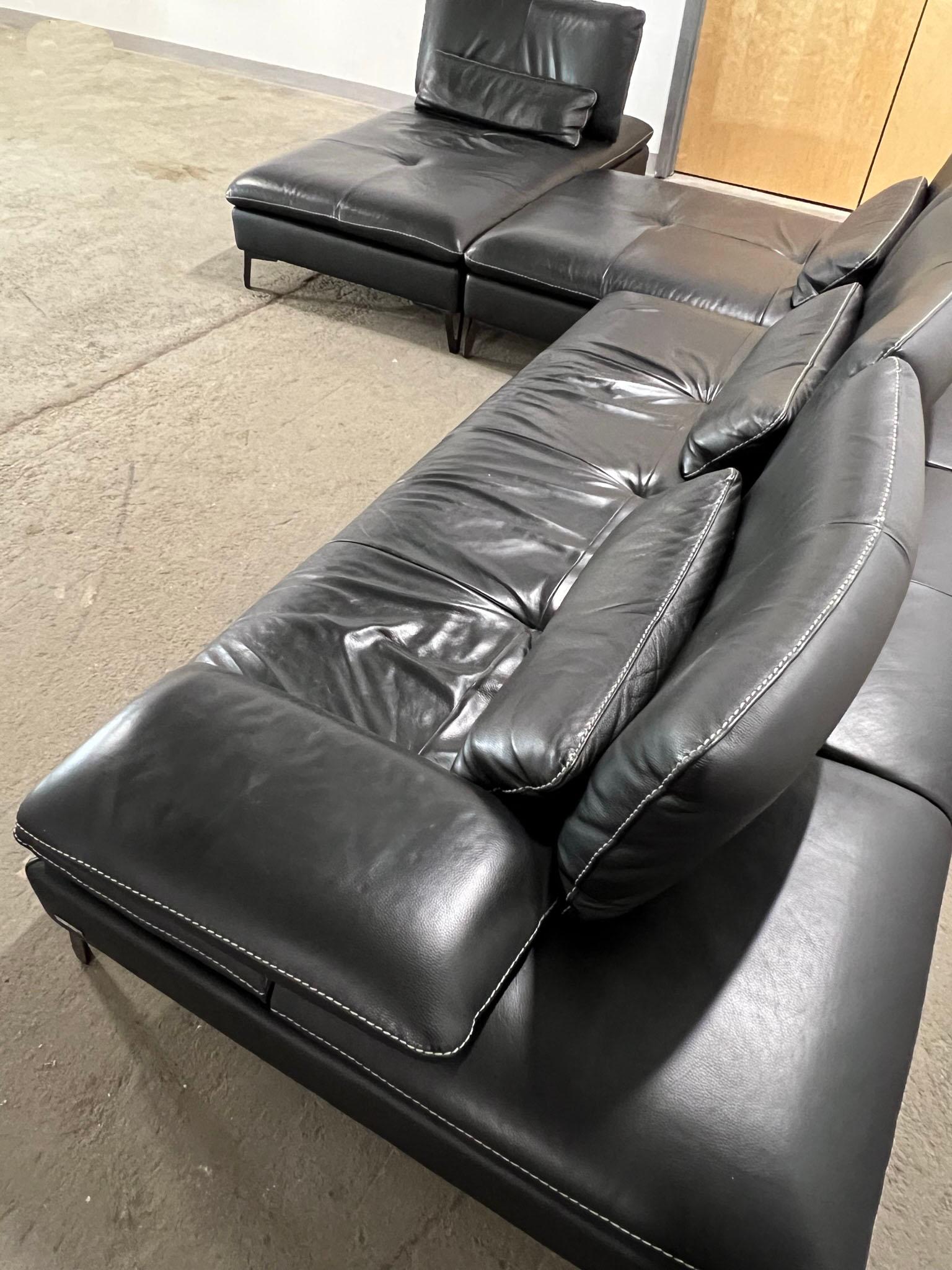 Roche Bobois Leather Sectional 