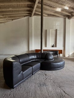 ROCHE BOBOIS „SERPENTINE“ SECTIONAL SOFA LEATHER, FRANCE 1980s