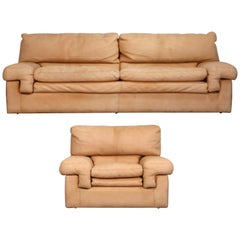 Roche Bobois Sofa and Armchair in Nude Leather with Natural Finish, circa 1980s