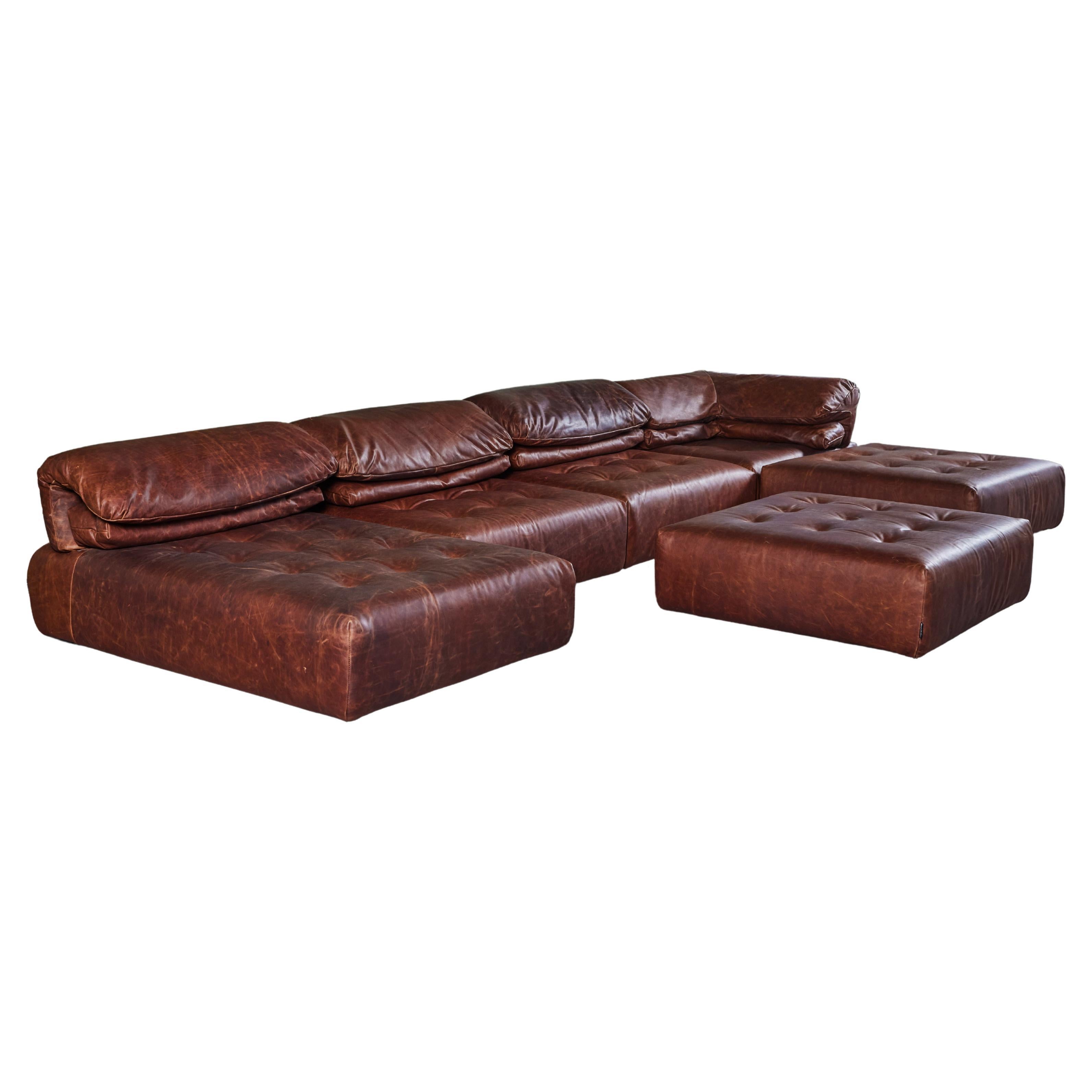 Roche Bobois Voyage Immobile Leather Modular Sectional Sofa