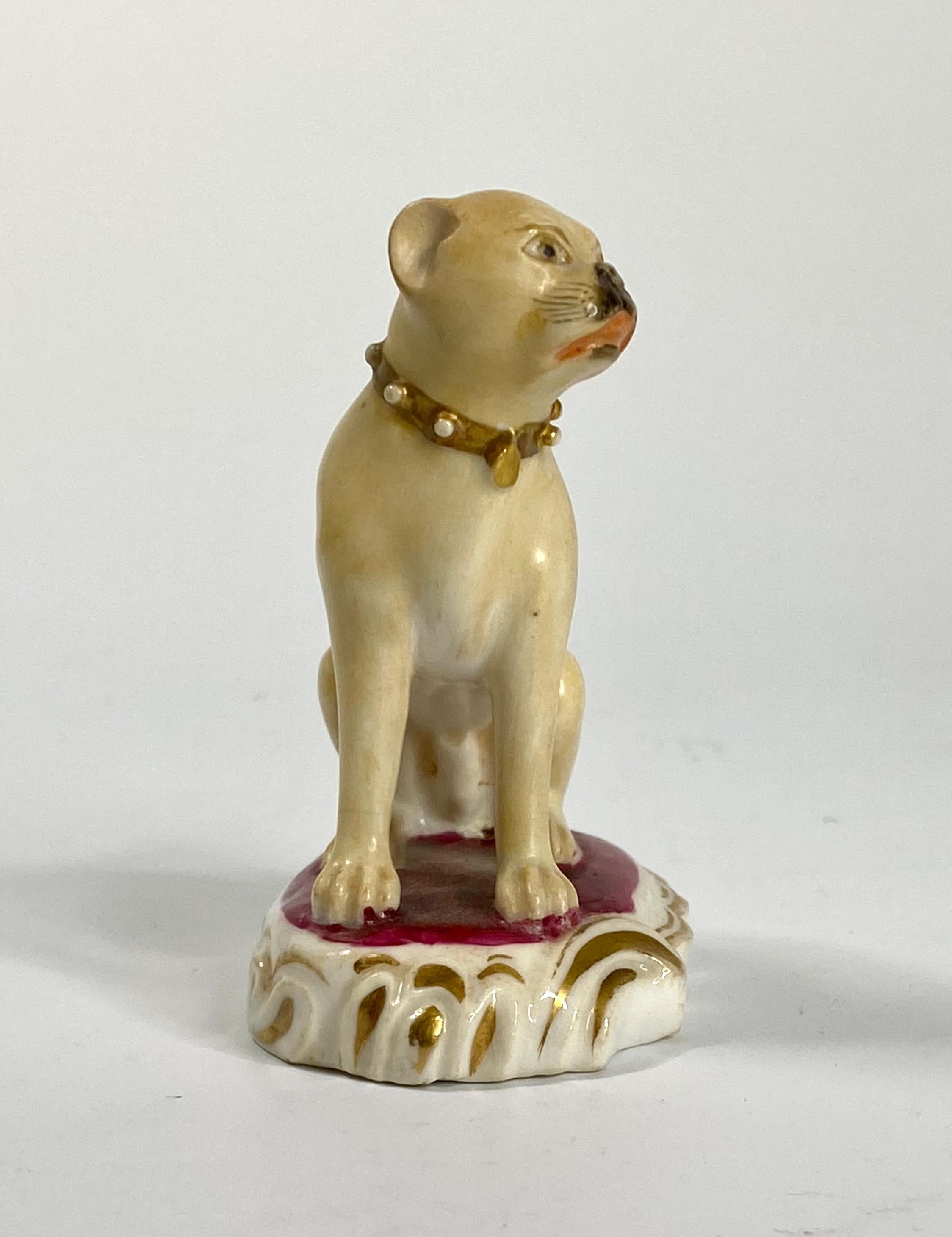 Rare Rockingham porcelain pug dog, c. 1835. The well modelled, seated pug dog, wearing a gilt, studded collar, with a puce rosette and gilt name tag attached. Seated upon a puce cushion base, edged with moulded rococo scrolls, heightened in