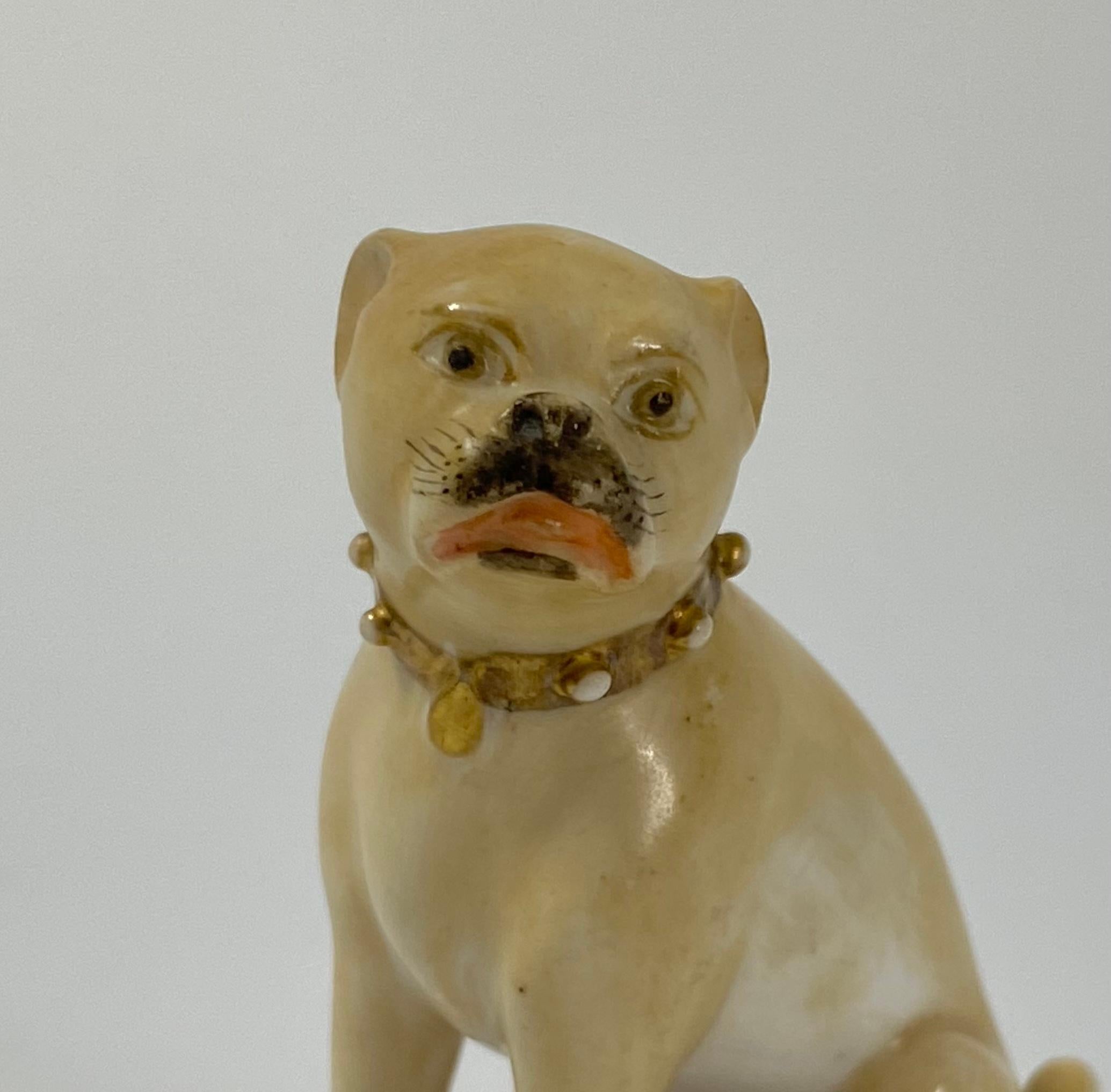 Rockingham Porcelain Pug Dog, C. 1835 1