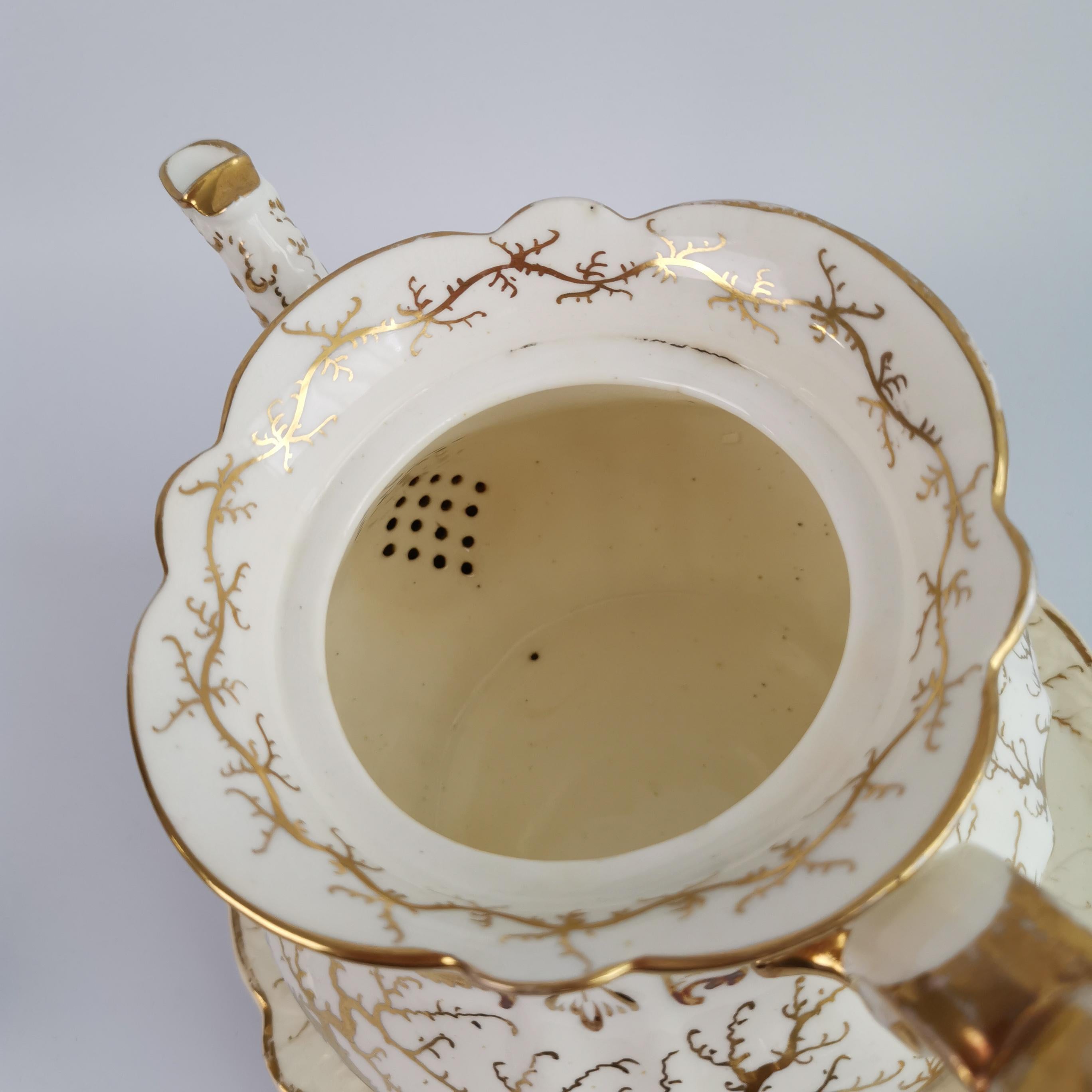 Rockingham Tea Service for 4, Gilt Seaweed, Flowers, Rococo Revival, 1832 9