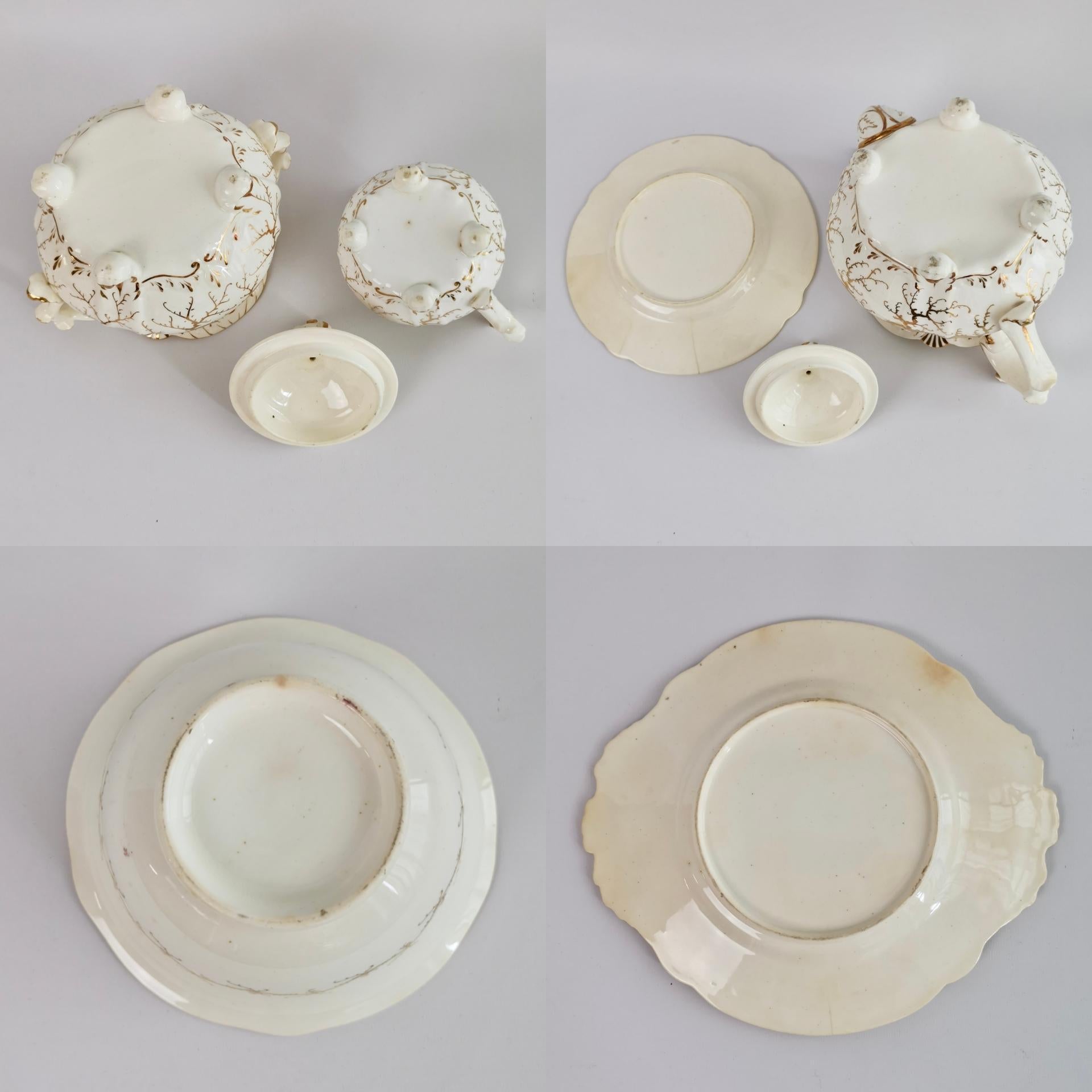 Rockingham Tea Service for 4, Gilt Seaweed, Flowers, Rococo Revival, 1832 12