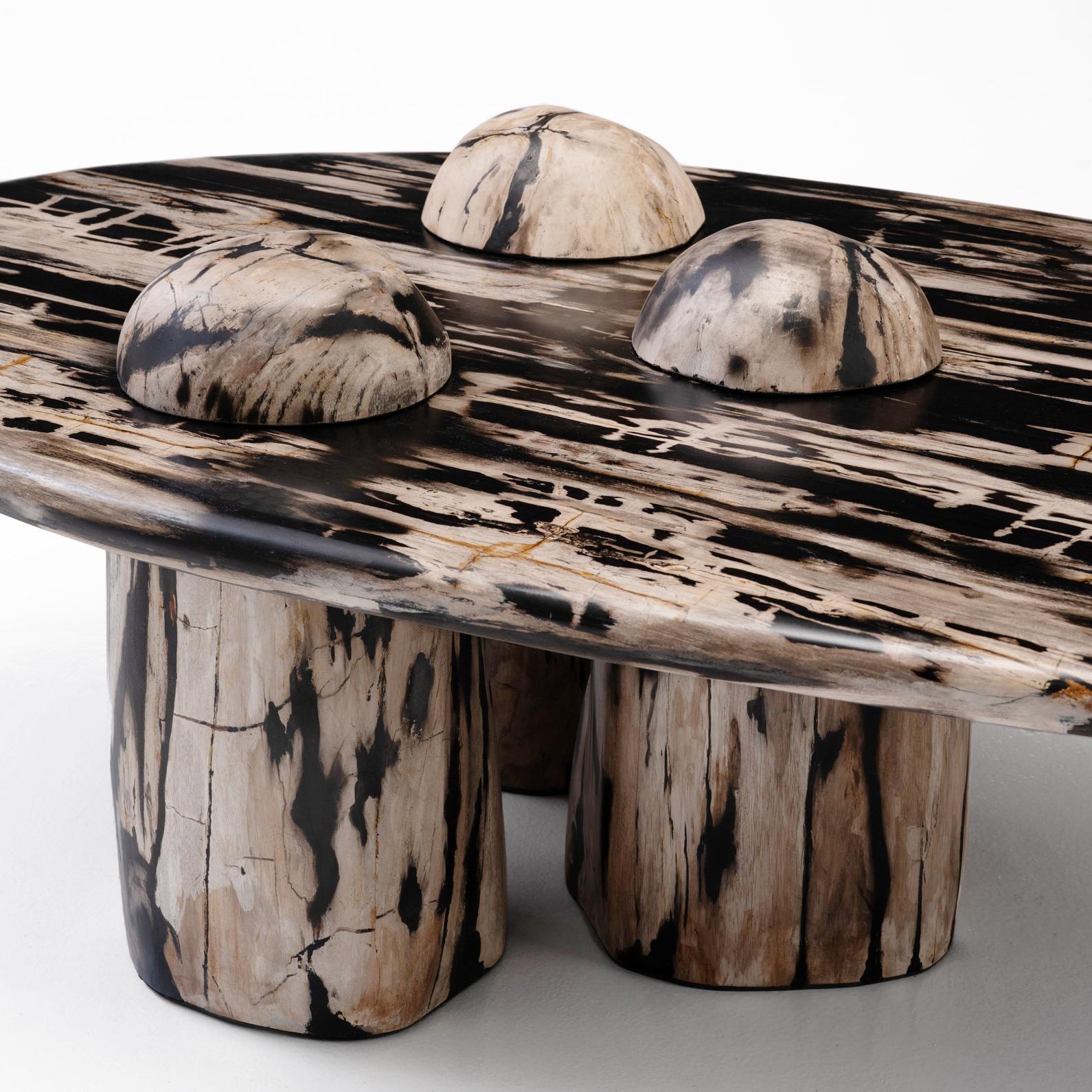 Rocky Montage • Sculptural Petrified Wood Coffee Table by Odditi In New Condition For Sale In CAROOL, NSW, AU