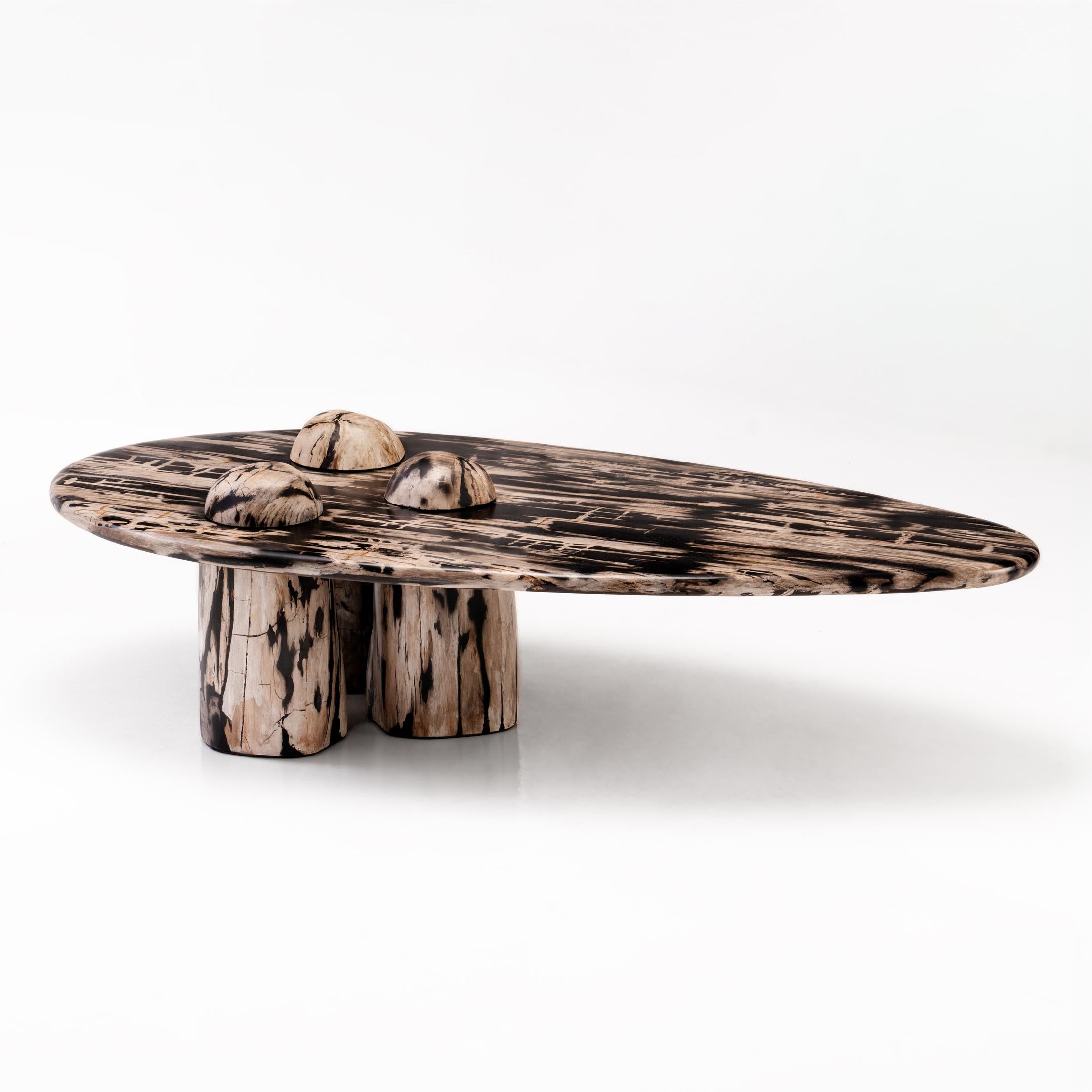 Everyone loves a good montage. Our ‘Rocky Montage’ coffee table pays homage to the world of organic stone sculptures and their symbolic nature. This piece features organic shapes and a cantilevered formation, hand sculpted from rare petrified wood