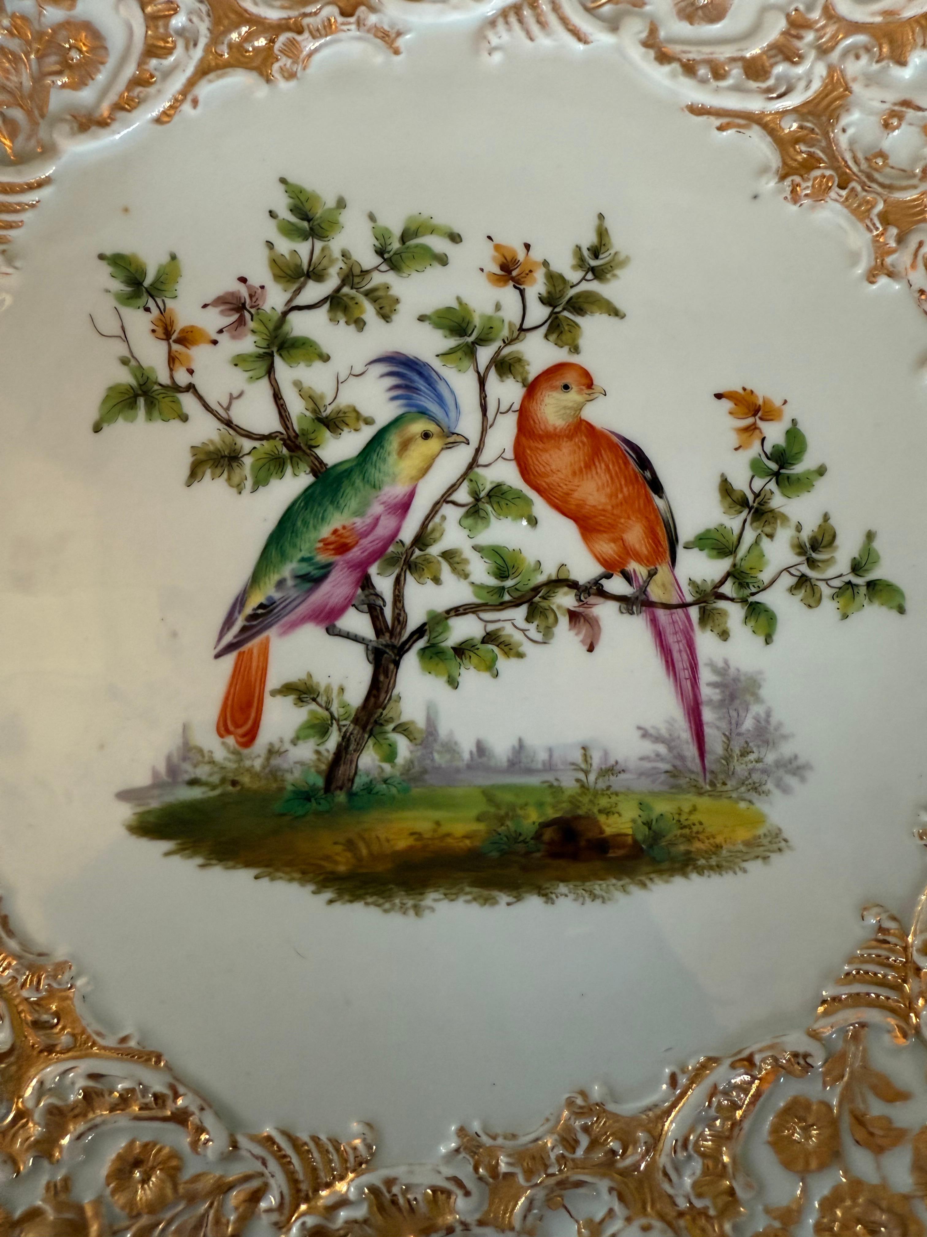 Rokoko Porzellan Zeremonienteller Meissen Vögel Gilts 19. Jahrhundert im Angebot 6