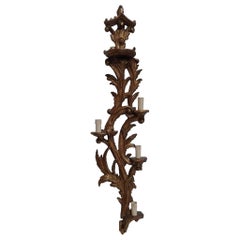 Rococo Revival Hand Gilded Wood Wall Lamp / Sconce One Meter High