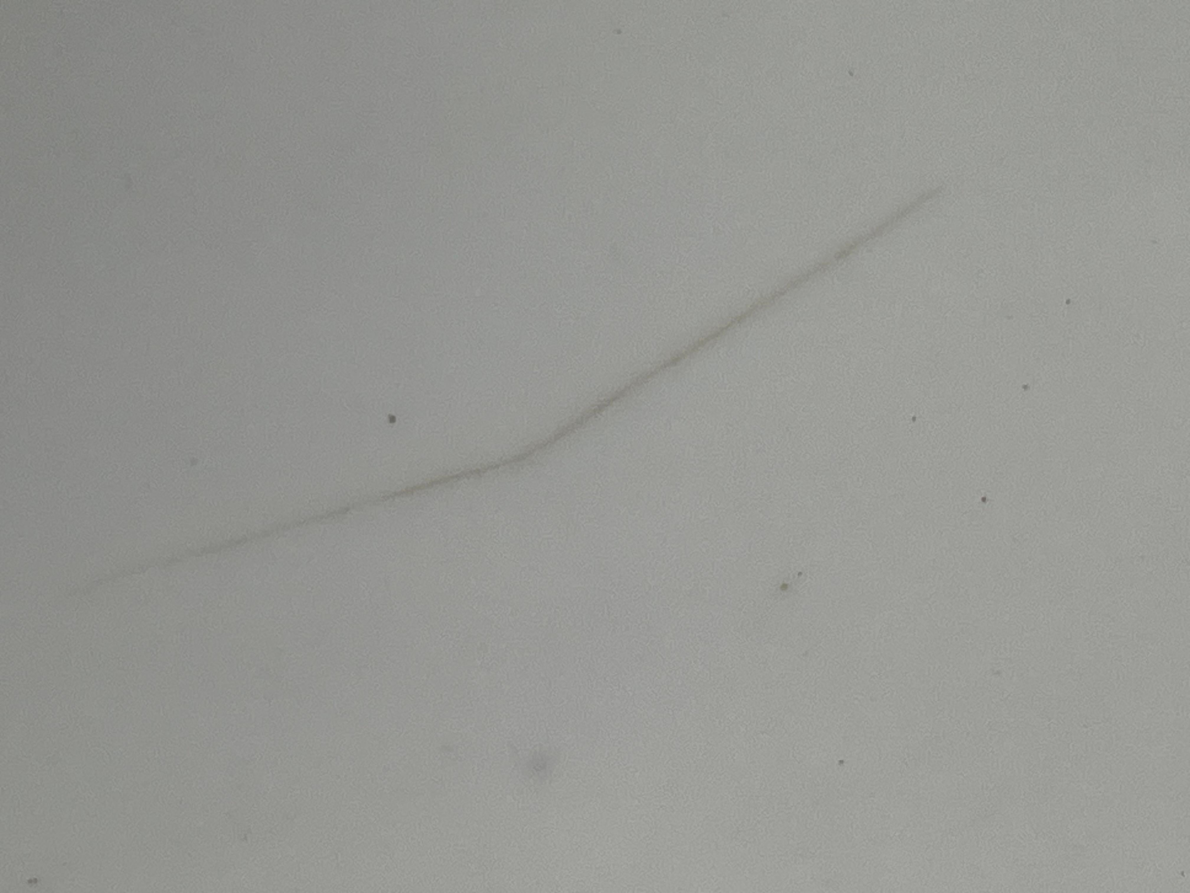 Centrotavola a ciotola in porcellana di bronzo in stile rococò Sèvres in vendita 5