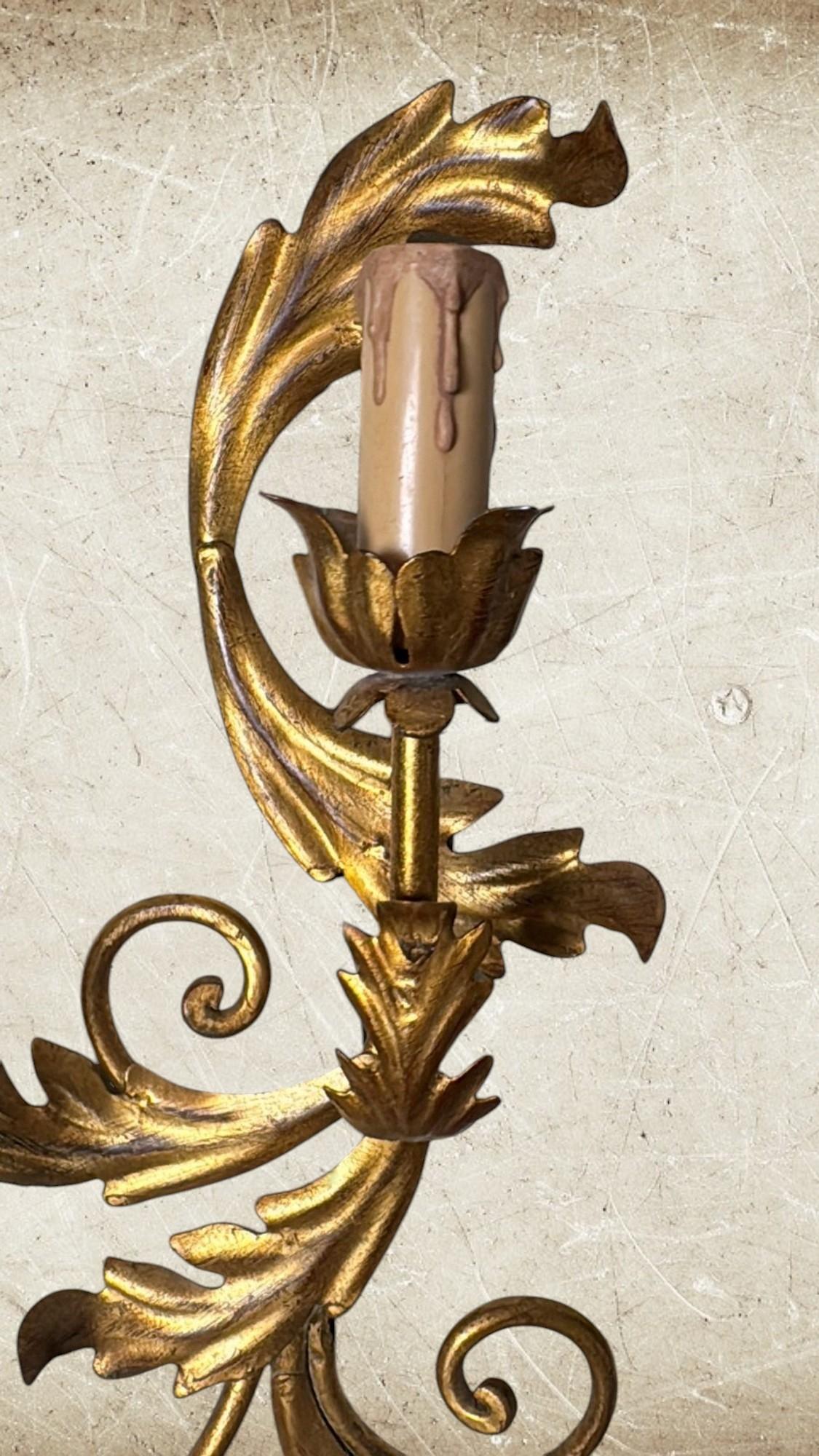 Dorato Applique da parete italiana in stile rococò con lastra e fusione in ottone dorato in vendita