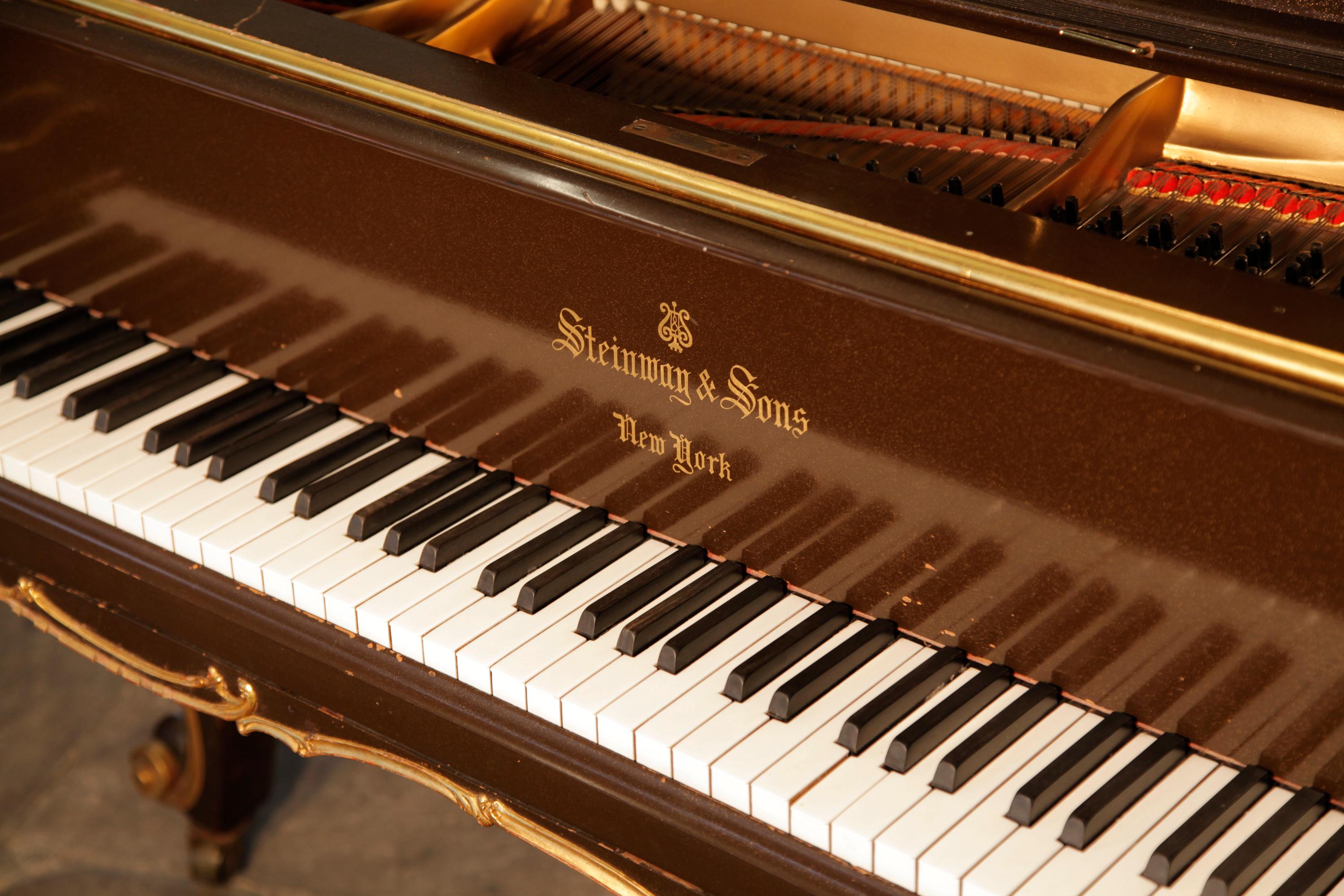 Grand piano Steinway Modèle B, scènes peintes à la main Fete Galante en vente 5