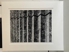 Granite Steps, Carmelite Monastery, Carmel California
