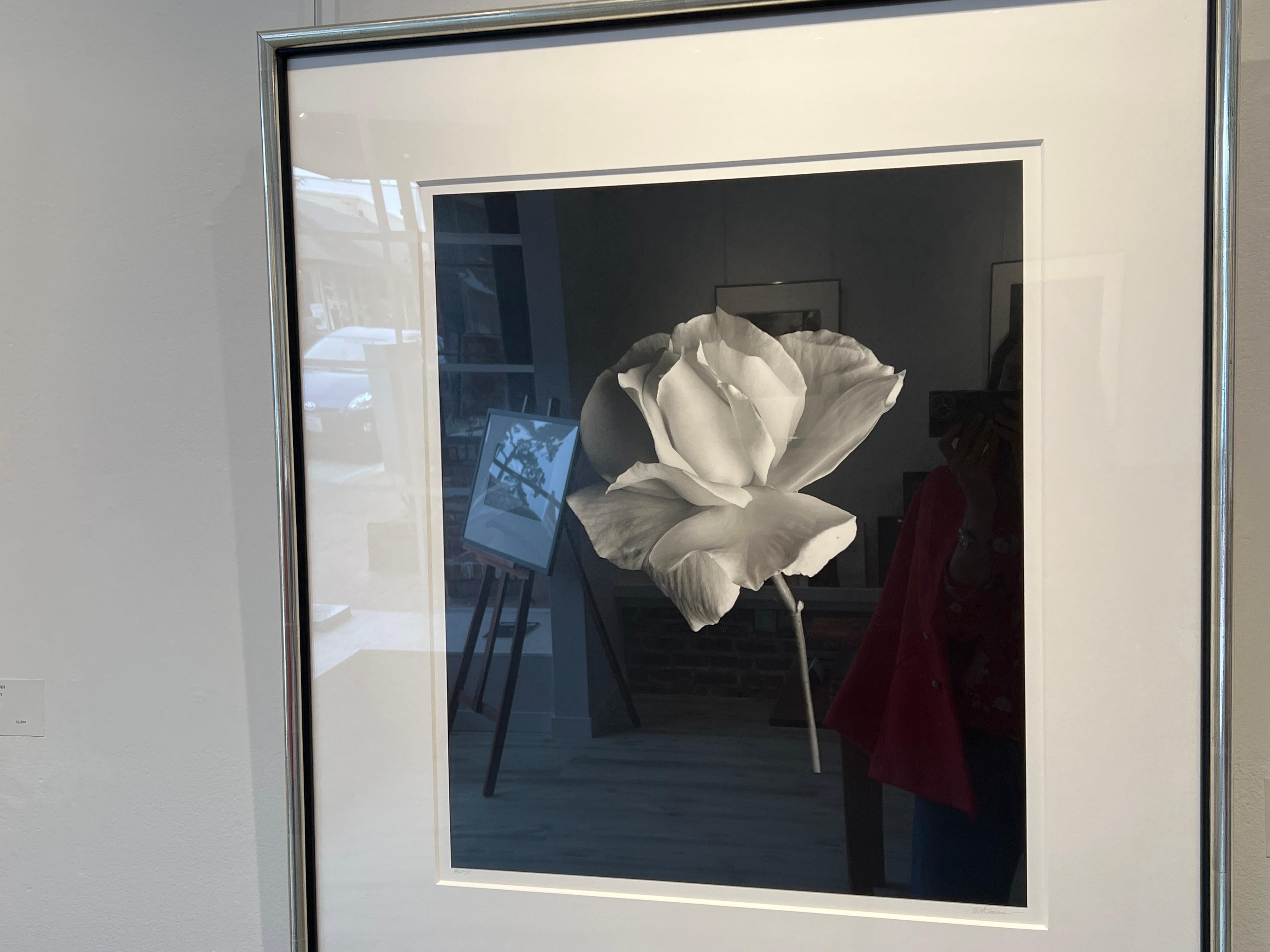 White Rose, Carmel For Sale 1