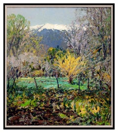 ROD GOEBEL Original OIL PAINTING On CANVAS Signed SOUTHWEST LANDSCAPE Art