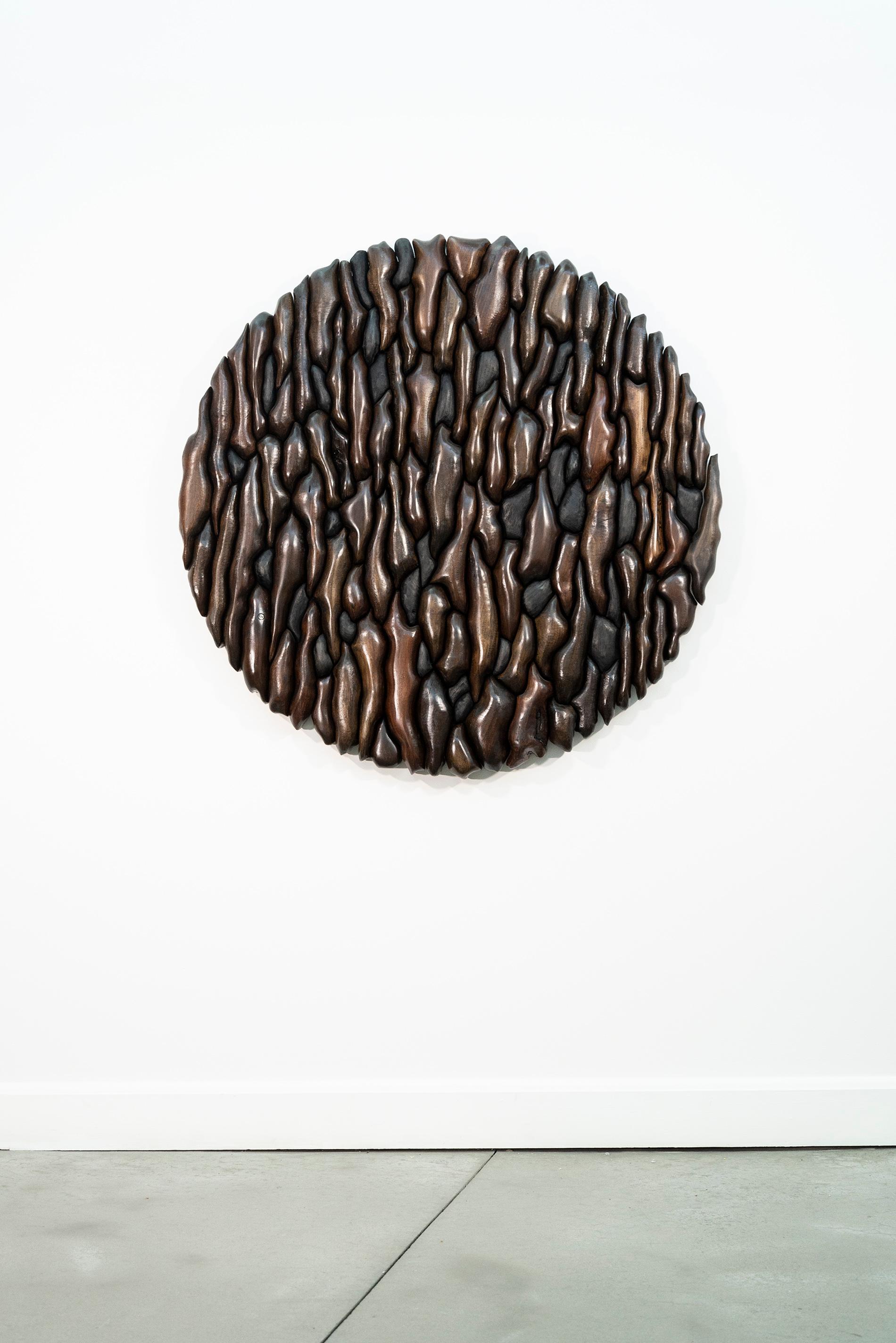 Roots and Ashes - modern, contemporary, ash, walnut, stained wood wall sculpture - Contemporary Sculpture by Rod Mireau