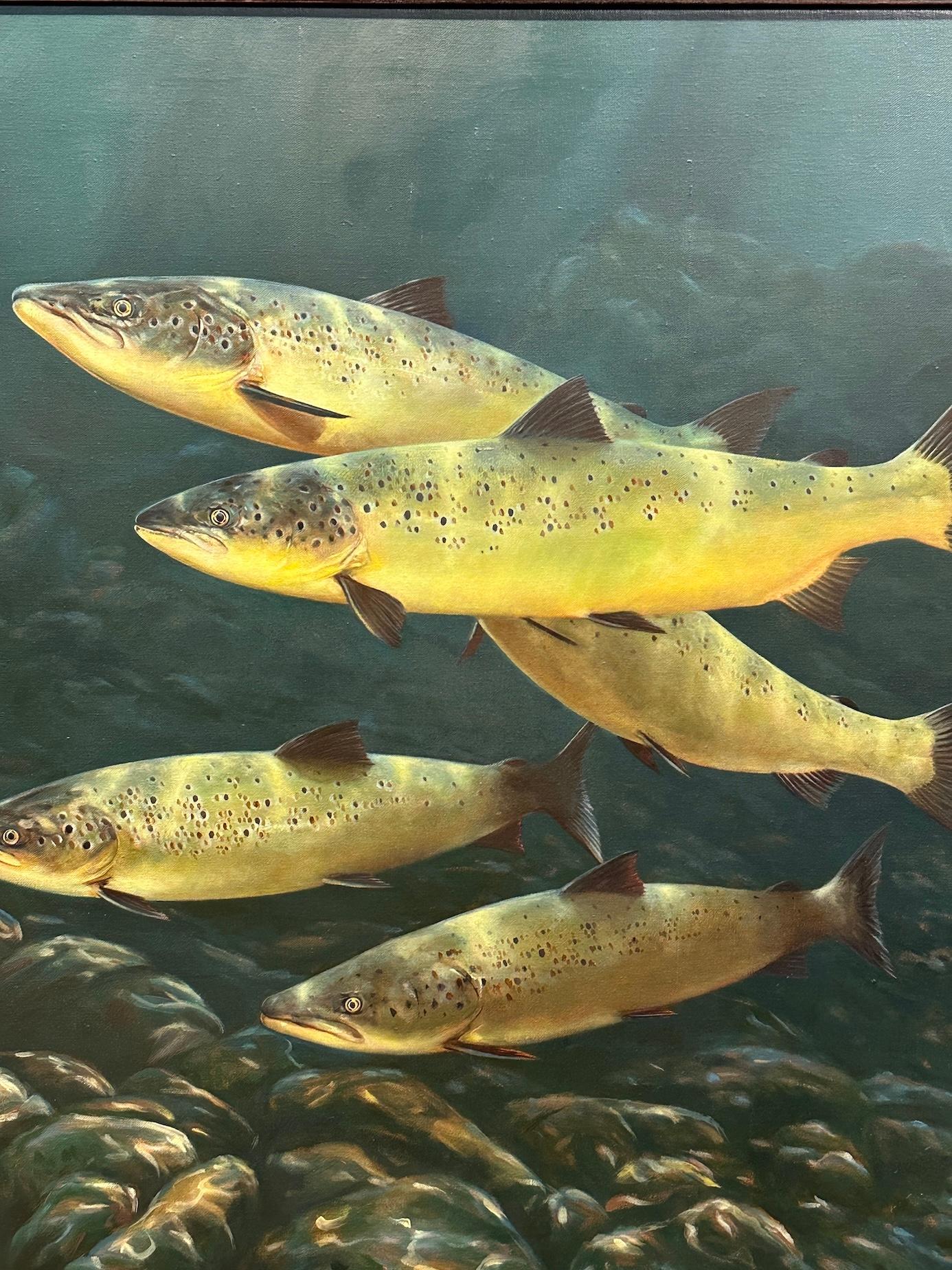 Late 20th English century study of Trout underwater swimming - Realist Painting by Rod Sutterby