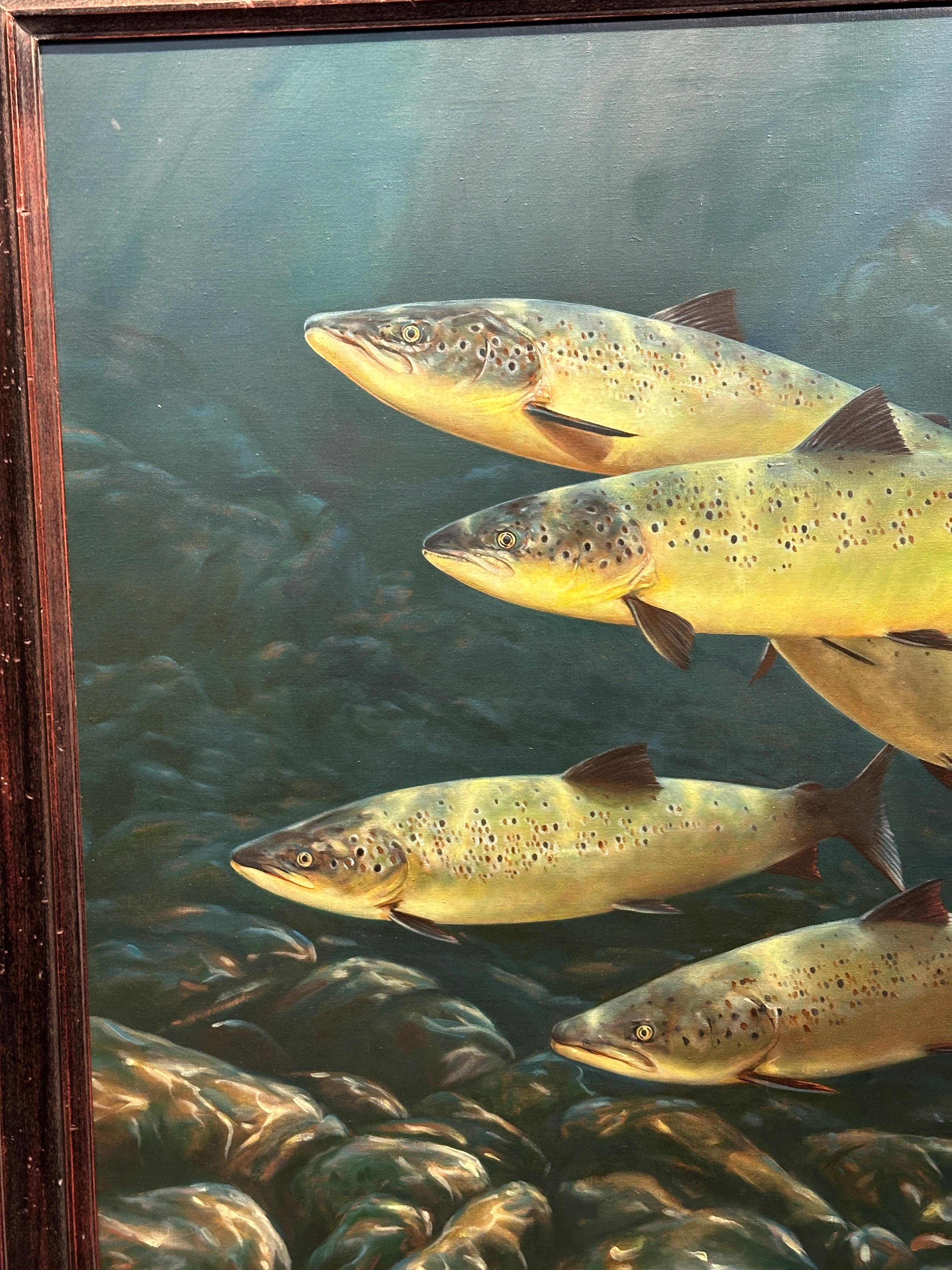 Late 20th English century study of Trout underwater swimming - Gray Animal Painting by Rod Sutterby