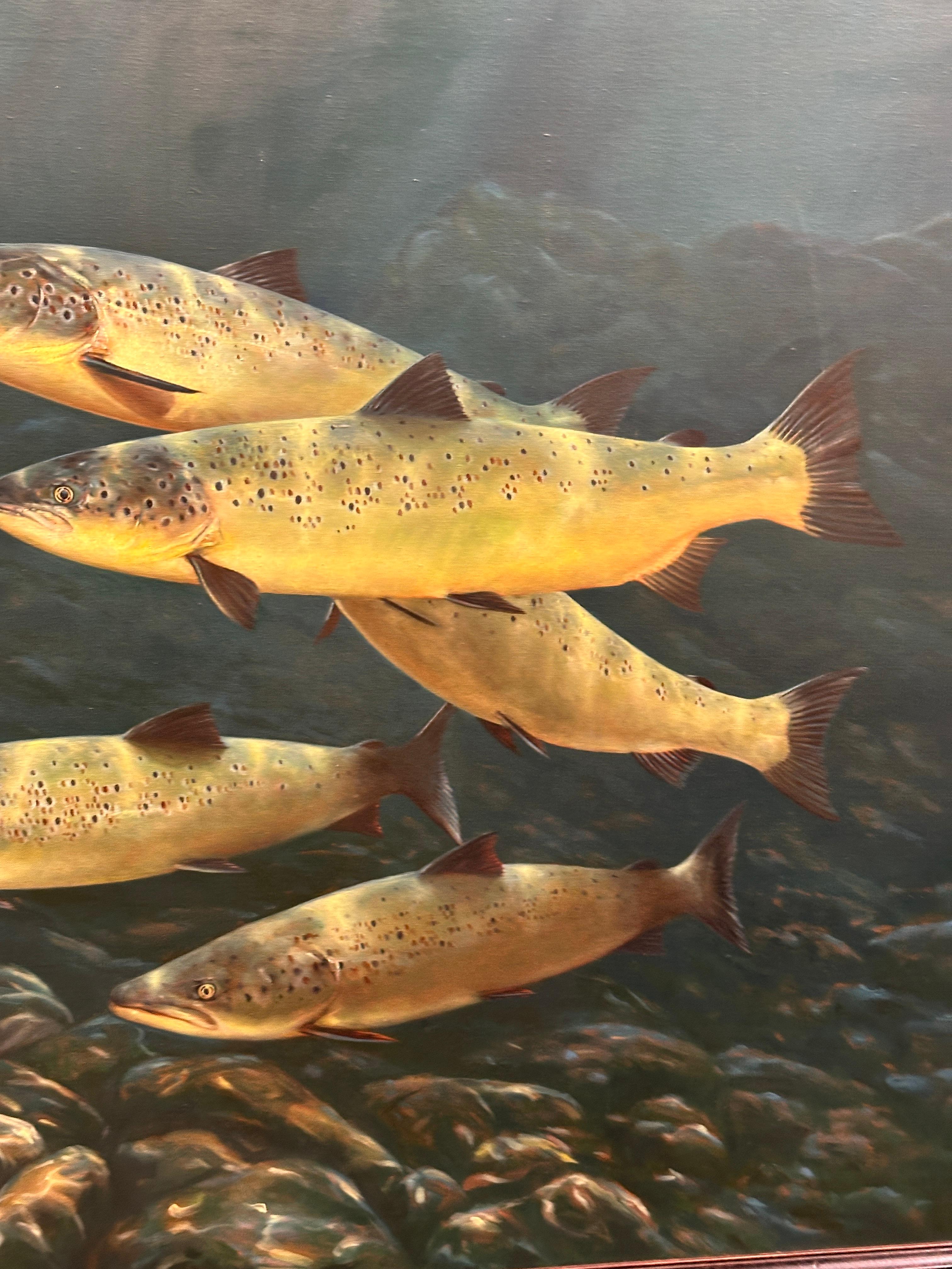 Rod Sutterby (20th Century)
Trout
Oil on canvas, signed lower left
Circa 1997
43 x 45 inches

This large-scale and highly detailed composition by Rod Sutterby presents a school of trout gliding effortlessly through the cool, green depths of a river.
